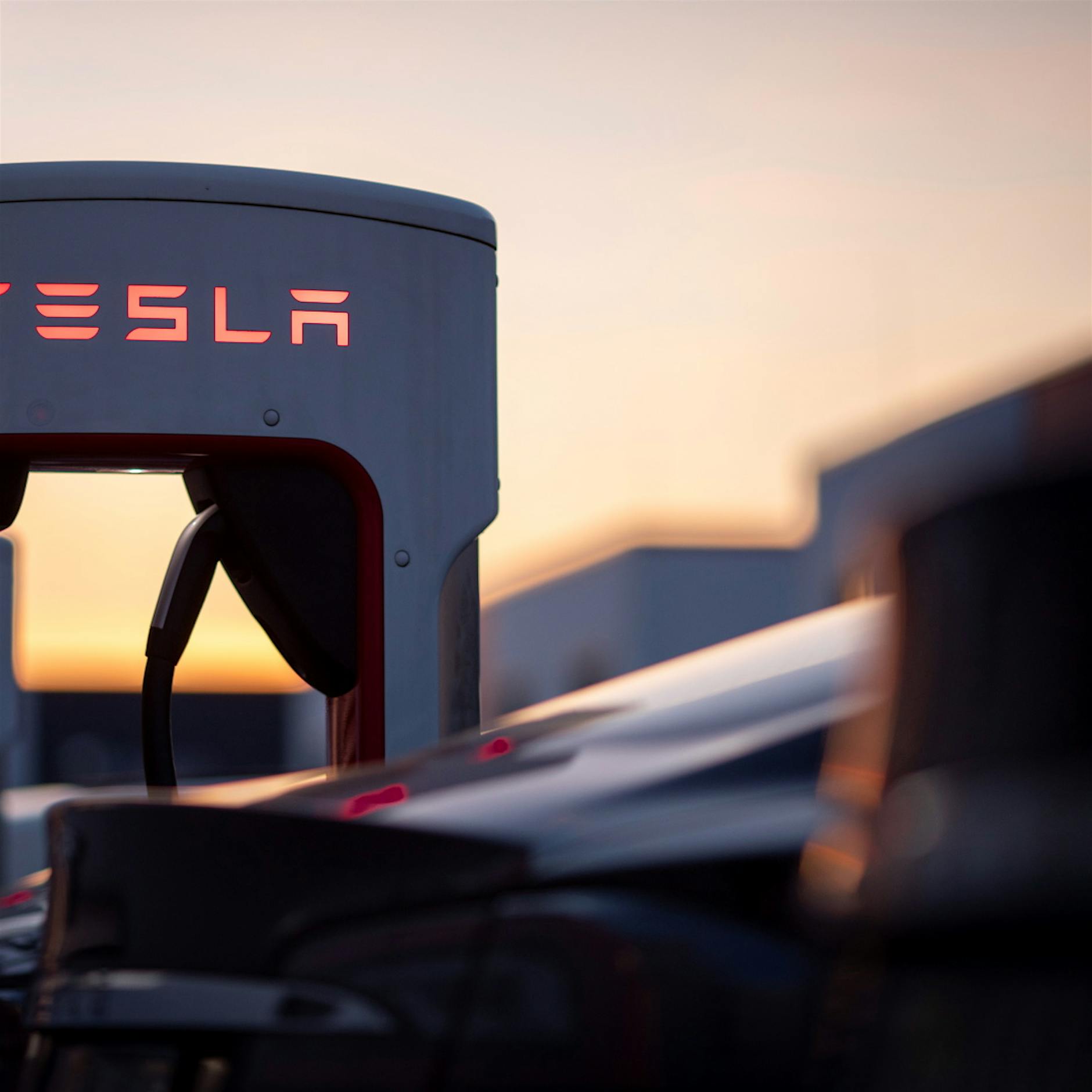 So punktete die Region Berlin bei Tesla