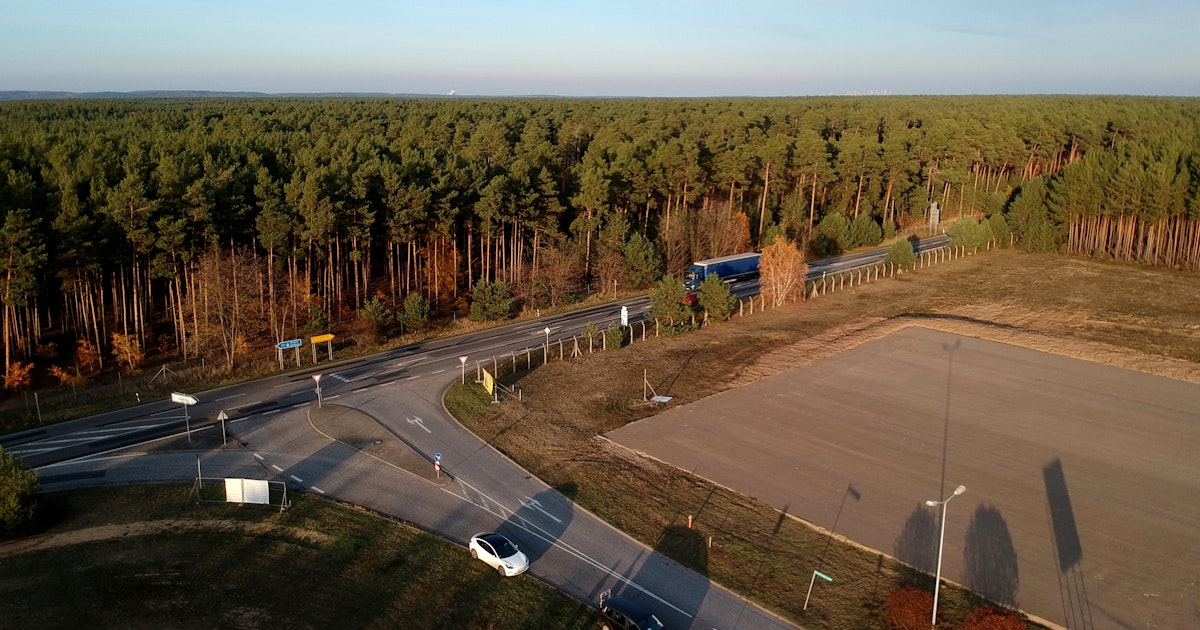 Tesla darf für neues Werk in Grünheide roden