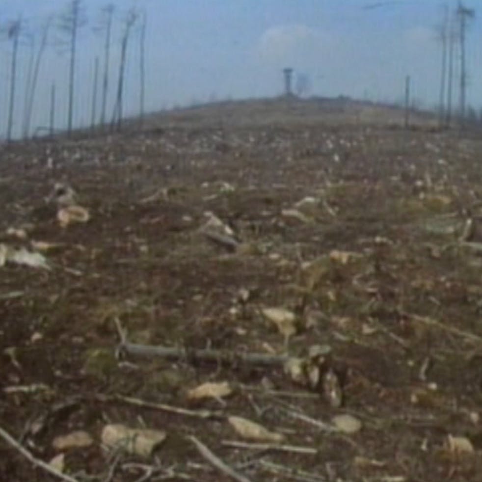 Waldsterben im Erzgebirge, 1985. Die Aufnahme der Bergkuppe in der Nähe des Fichtelbergs bei Oberwiesenthal erhielt Wensierski von einem DDR-Umweltschützer. Es ging darum, die Folgen des sauren Regens öffentlich zu machen. 