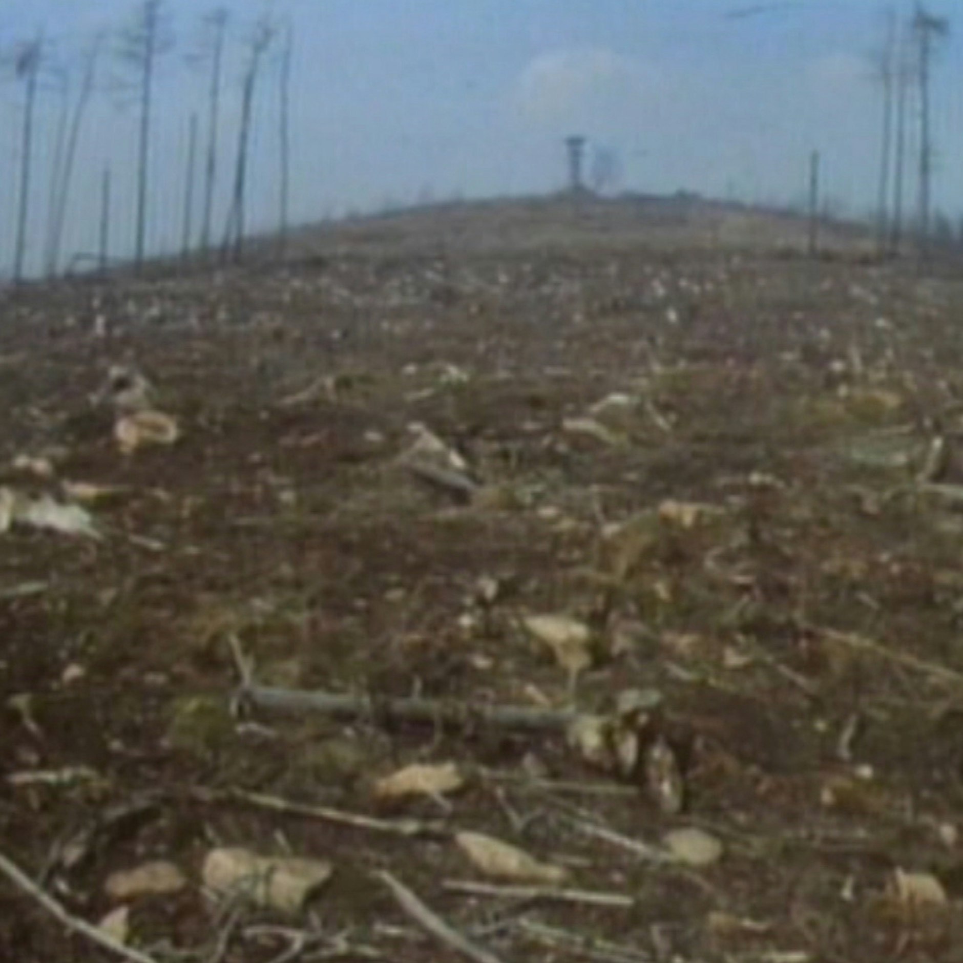 Waldsterben im Erzgebirge, 1985. Die Aufnahme der Bergkuppe in der Nähe des Fichtelbergs bei Oberwiesenthal erhielt Wensierski von einem  DDR-Umweltschützer. Es ging darum, die Folgen des sauren Regens öffentlich zu machen.&nbsp;