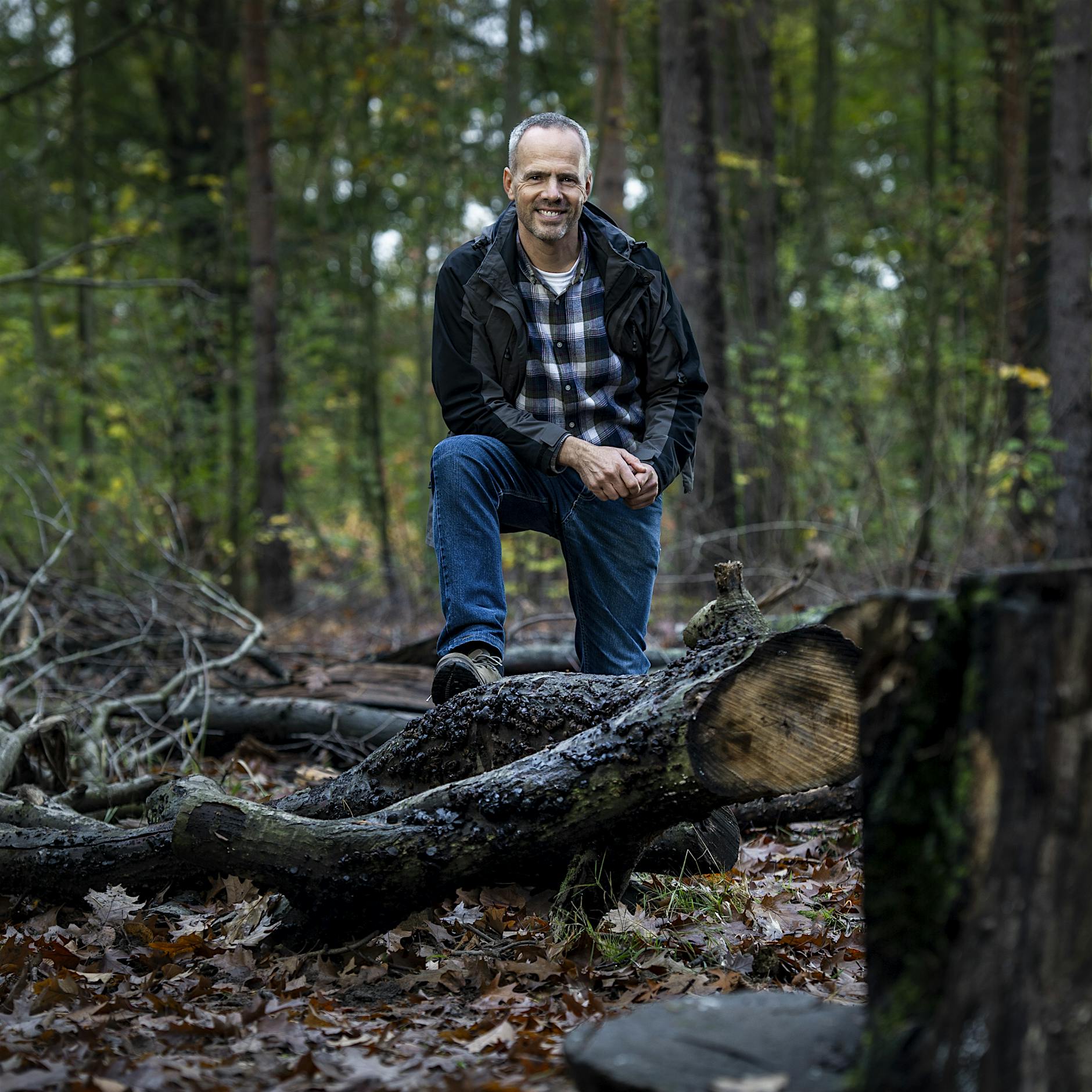 Dauerhitze sorgt für katastrophale Lage in den Berliner Wäldern