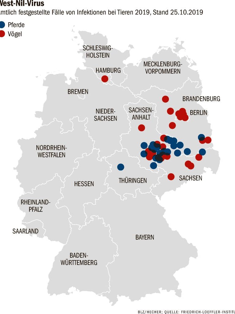 Infektionen mit West-Nil-Viren bei Tieren, 2019
