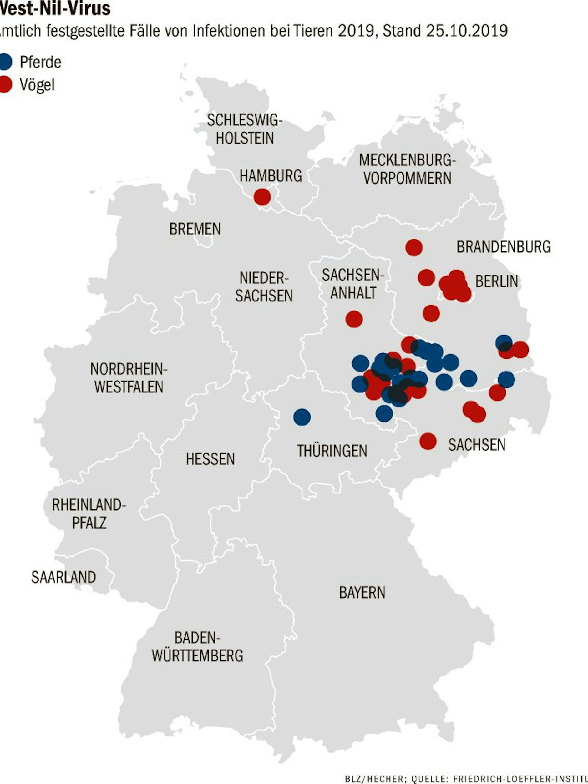 Infektionen mit West-Nil-Viren bei Tieren, 2019