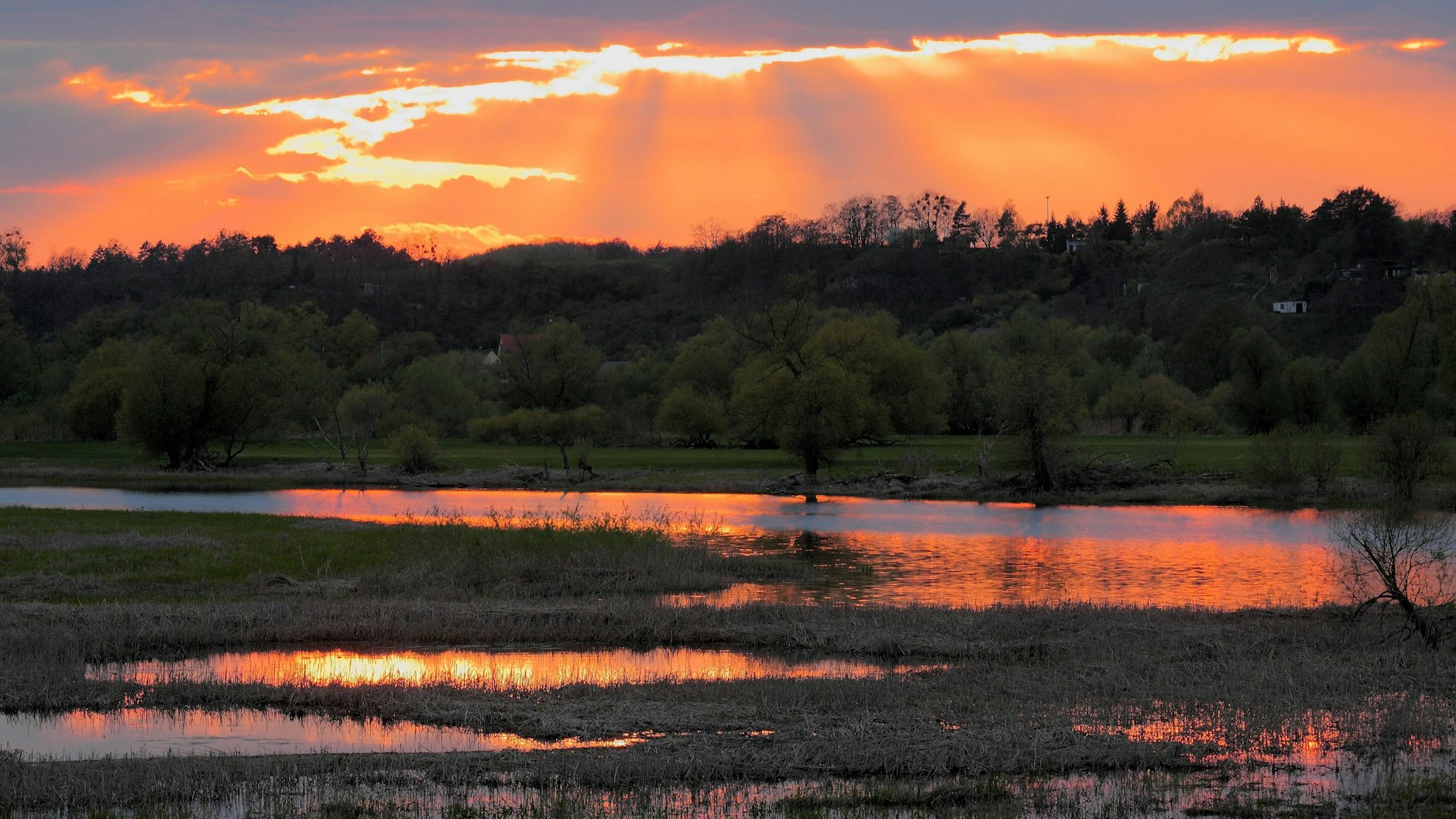 Endlose Weiten: Das Untere Odertal ganz im Nordosten der Uckermark ist einer der heute bundesweit 16 Nationalparks und der einzige im Land Brandenburg.