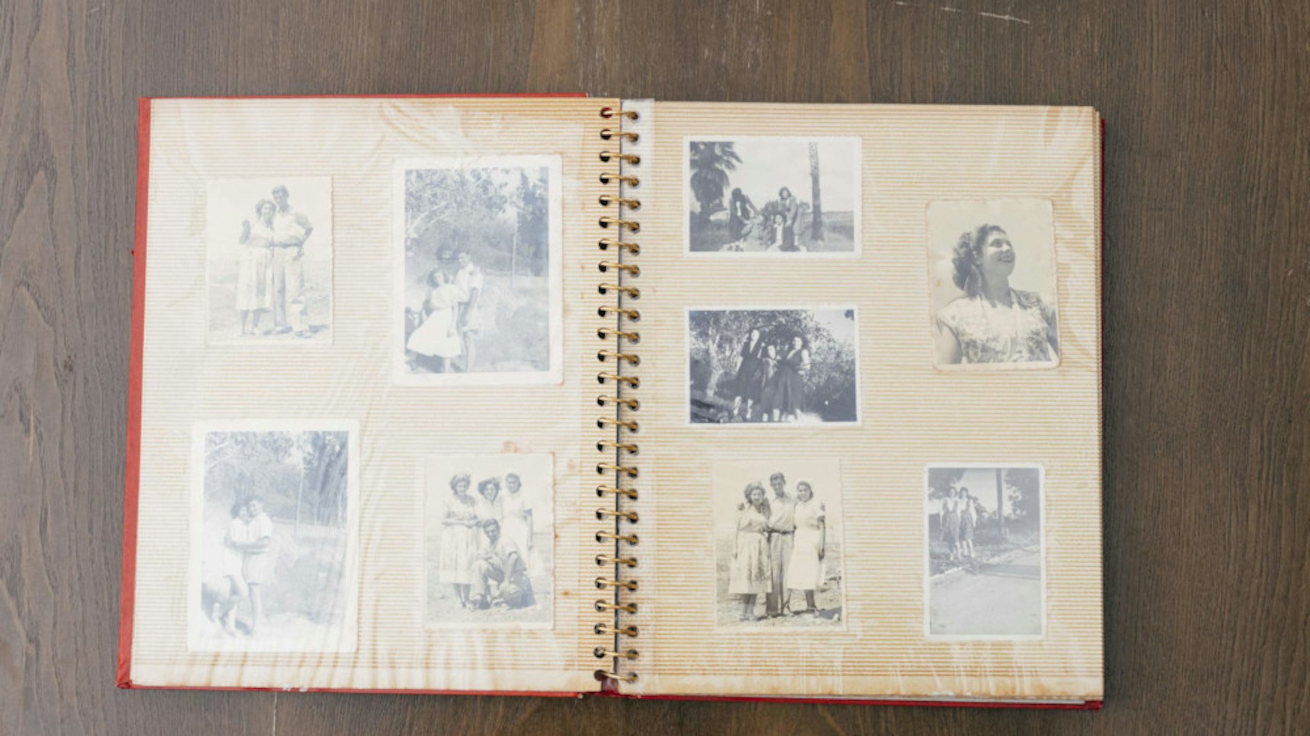 Regina Steinitz bewahrt viele Fotos in Alben auf.