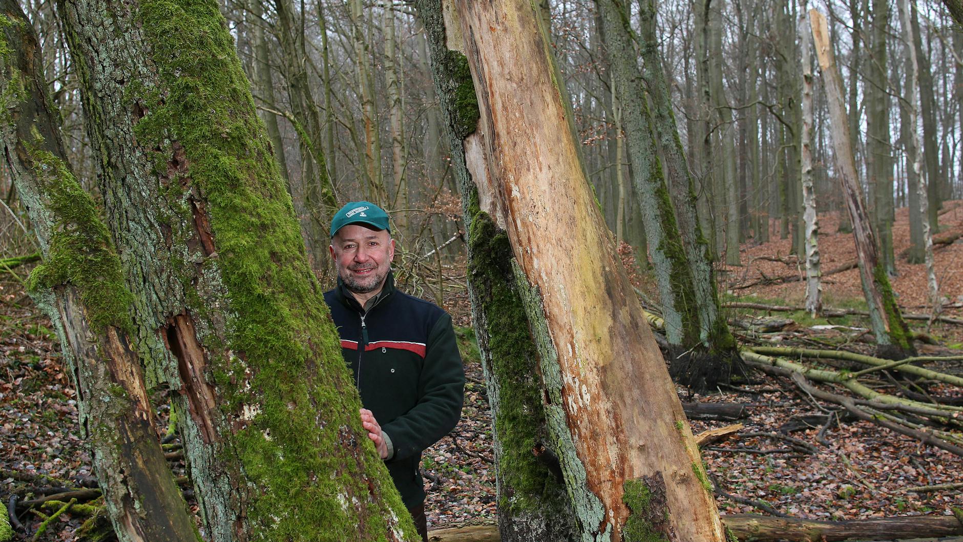 Michael-Egidius Luthardt ist Leiter des Landeskompetenzzentrums Fort Eberswalde.