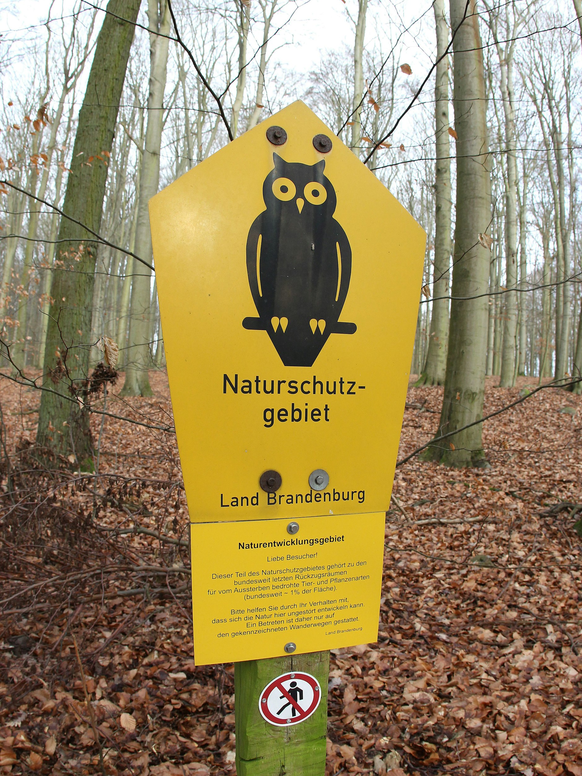 Der Grumsin bleibt sich selbst überlassen.