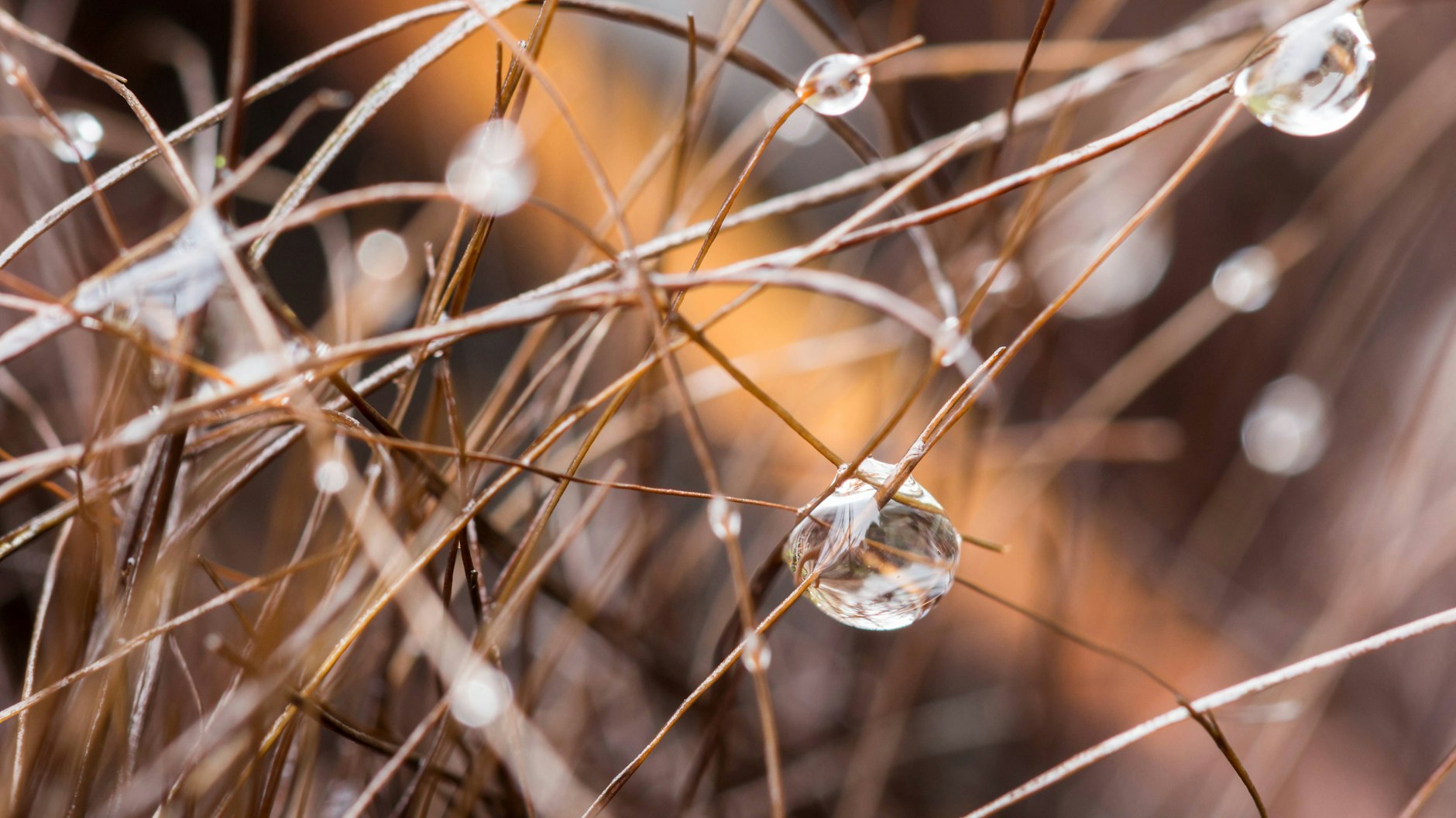 Bei solchem Wetter gärtnern wir schon mal auf dem Sofa vor.