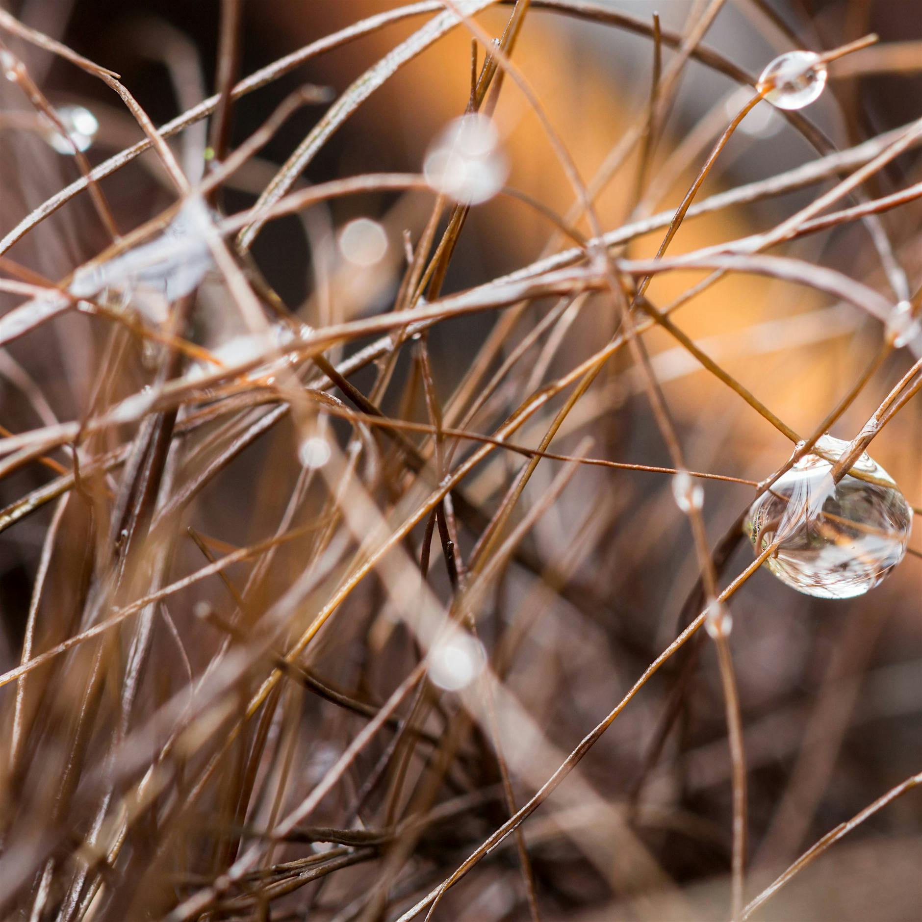 Lesen, bis die Sonne kommt