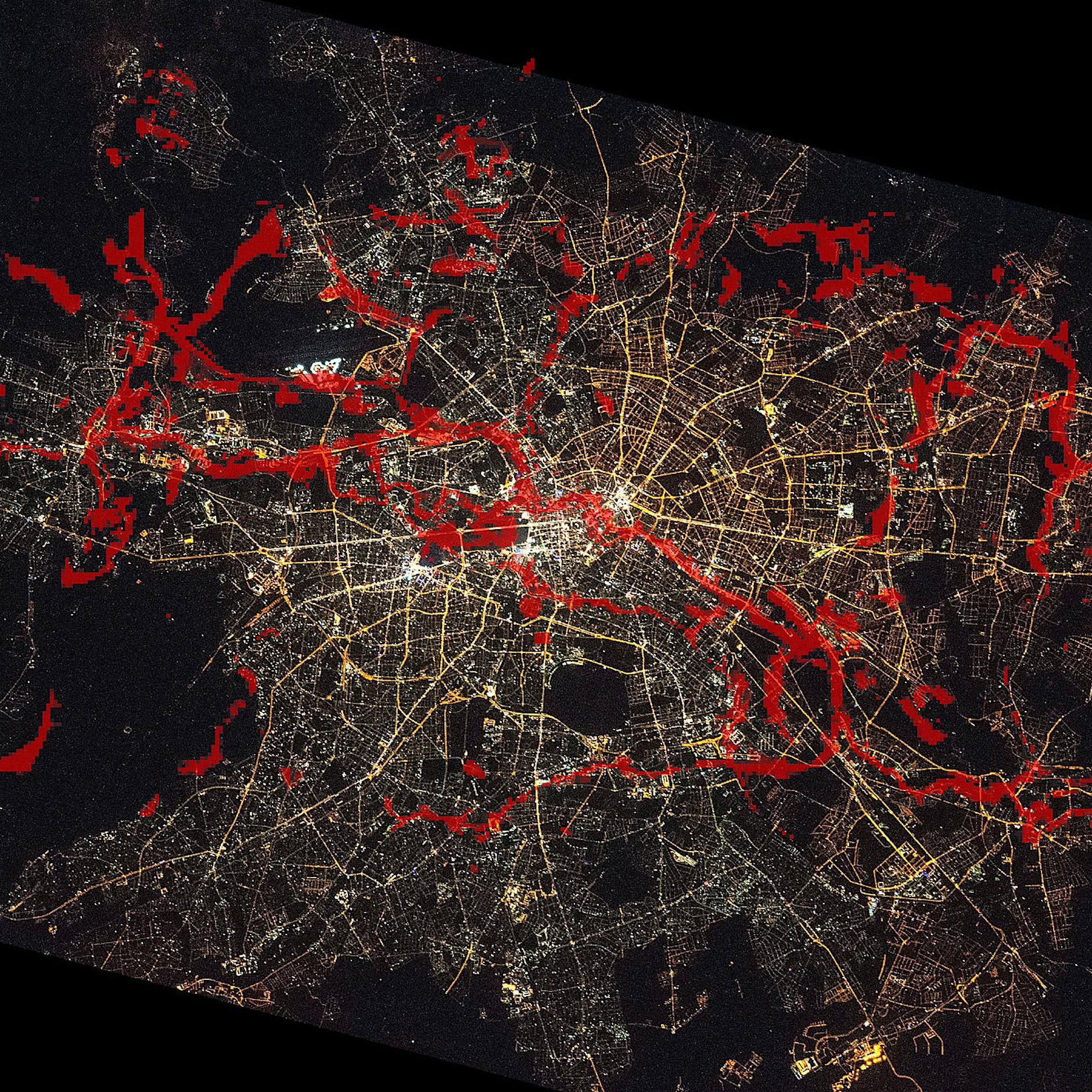 Die geheimen Wege der Berliner Fledermäuse