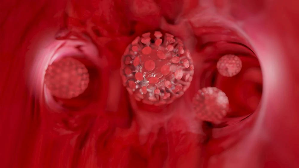 Die aktuelle Datenlage zum Coronavirus ist aus Sicht von Experten noch sehr dünn.