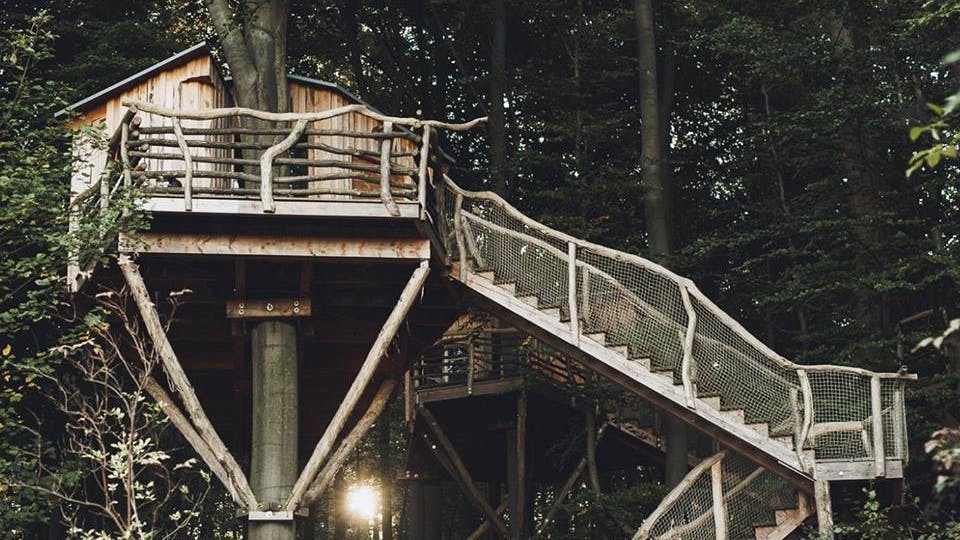 Mitten in Hessen, mitten im Wald: WLAN-Empfang gibt es in diesem Baumhaushotel nicht.
