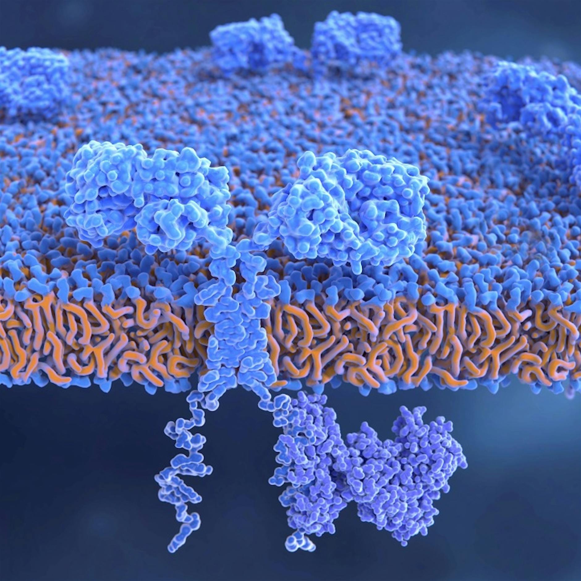„Die Wirkstoffe gegen Krebs werden immer zielgerichteter“