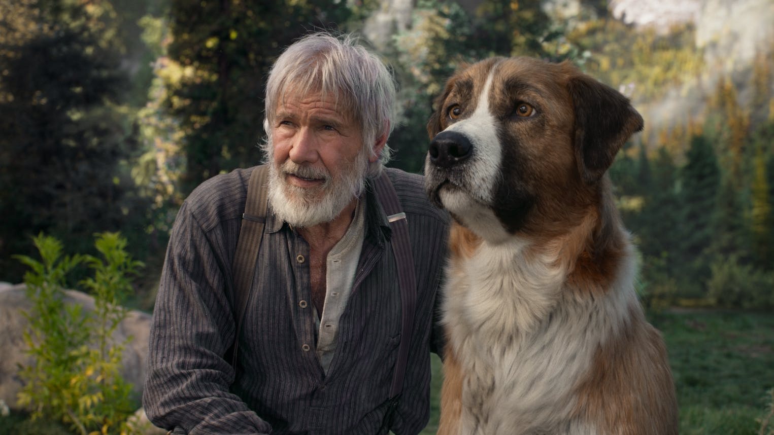 Die gleiche Bartfarbe: Der Trapper John Thornton (Harrison Ford ) und Buck.