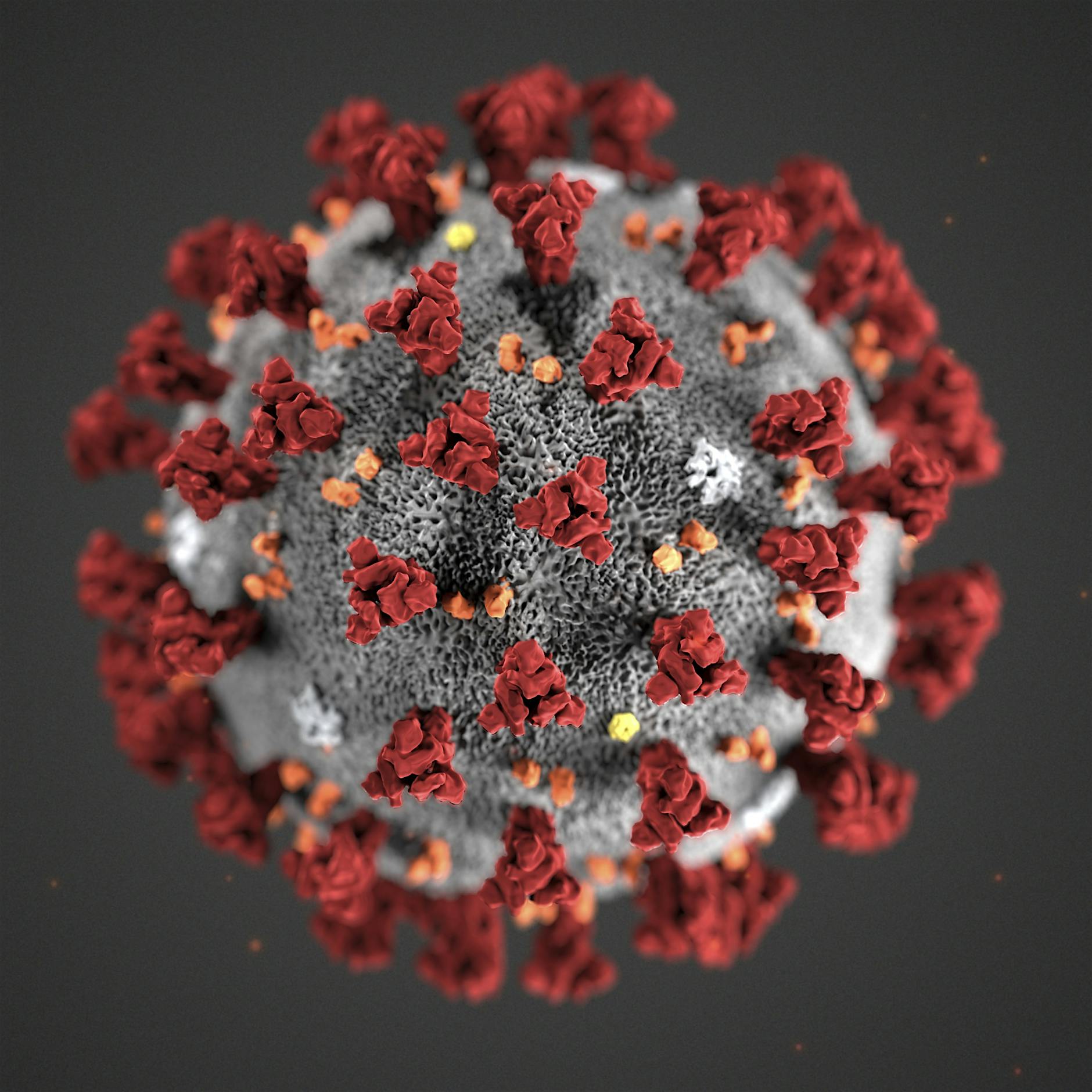 FAQ zum Coronavirus: Symptome, Schutz und Risiken