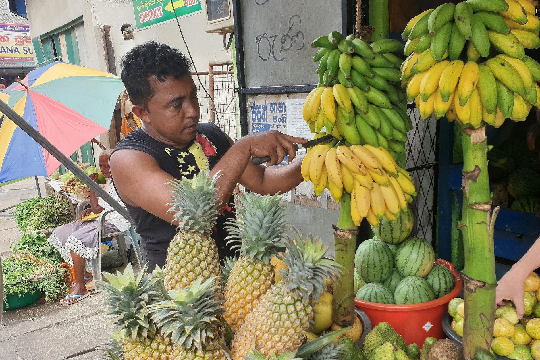 Ein Händler bei der Arbeit – auf Sri Lanka gibt es 26 Arten von Bananen.<br>