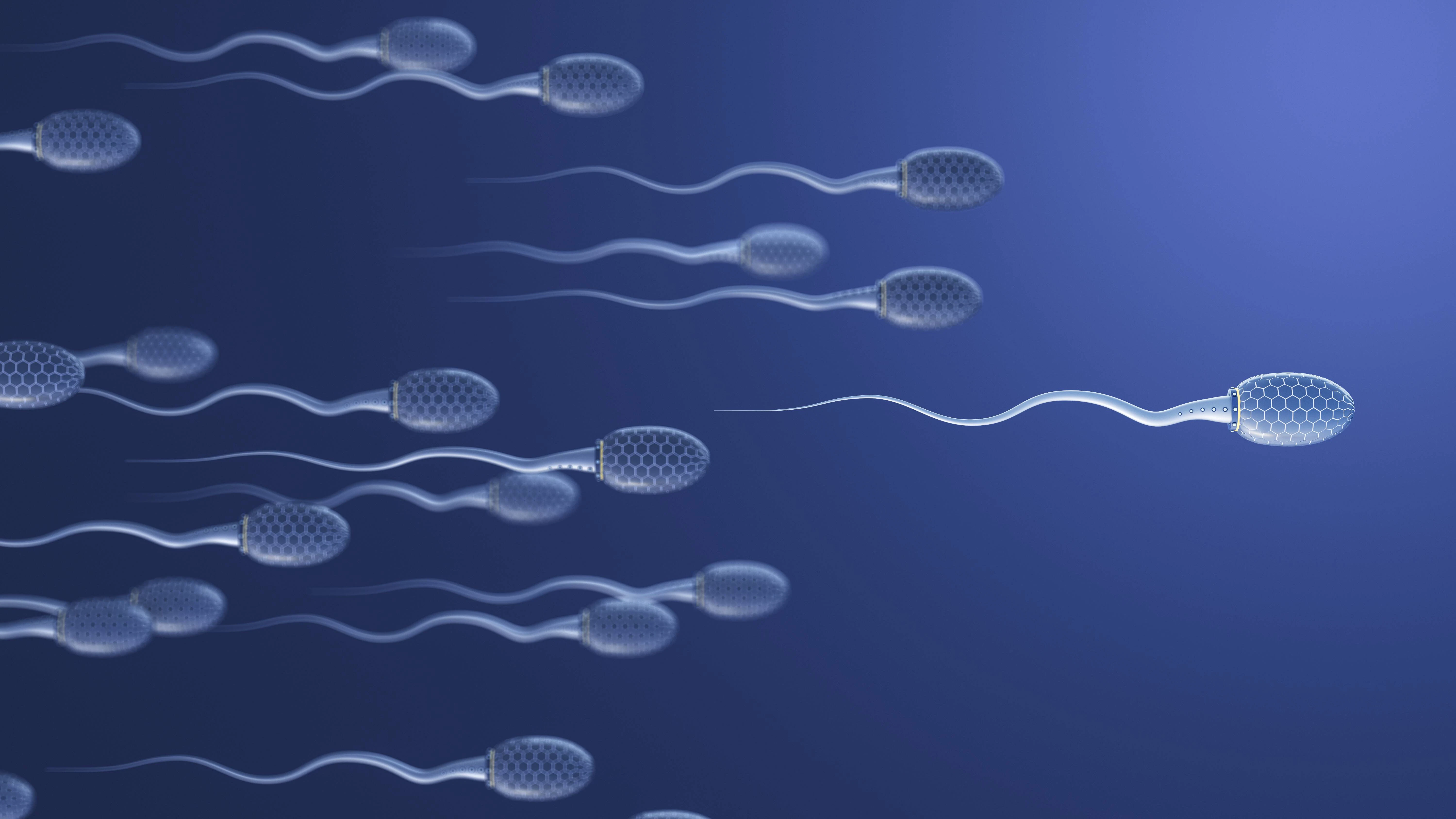 Fischöl-Konsum kann die Spermaqualität verbessern