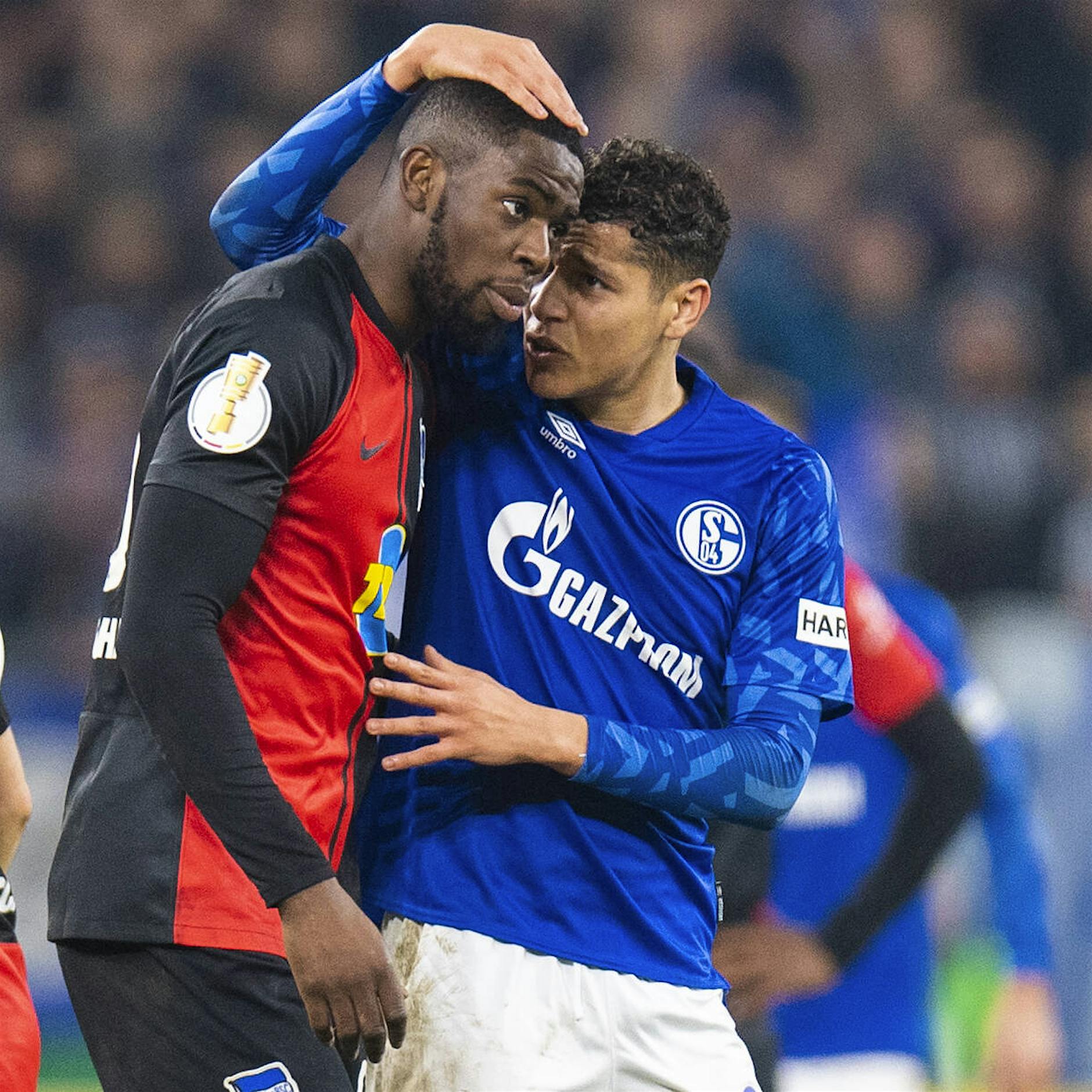 Pokal-Disqualifikation für Schalke! Trefft die Rassisten auf den Tribünen im Kern