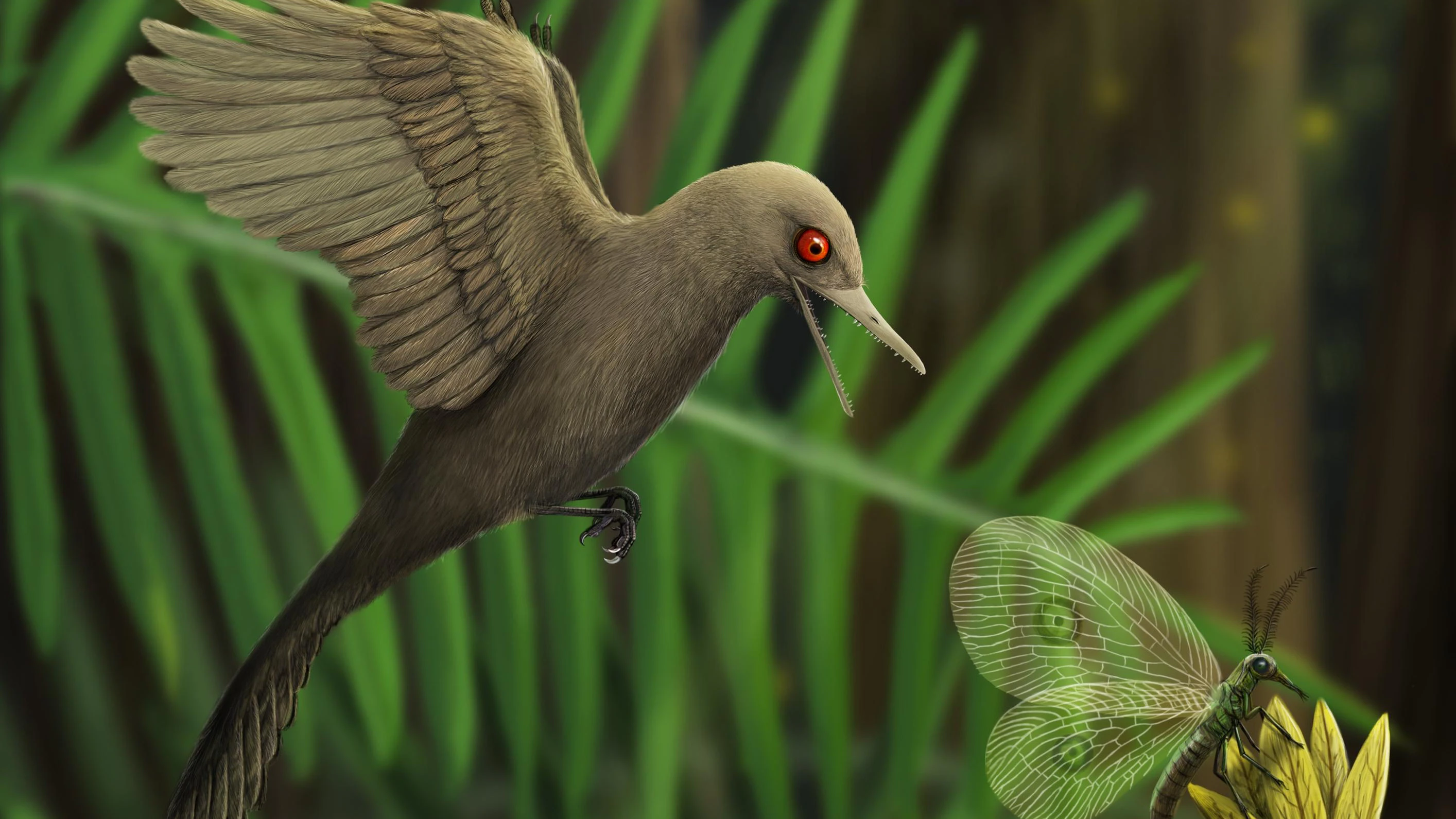 So könnte der winzige Urvogel&nbsp;<em>Oculudentavis khaungraae</em> ausgesehen haben.
