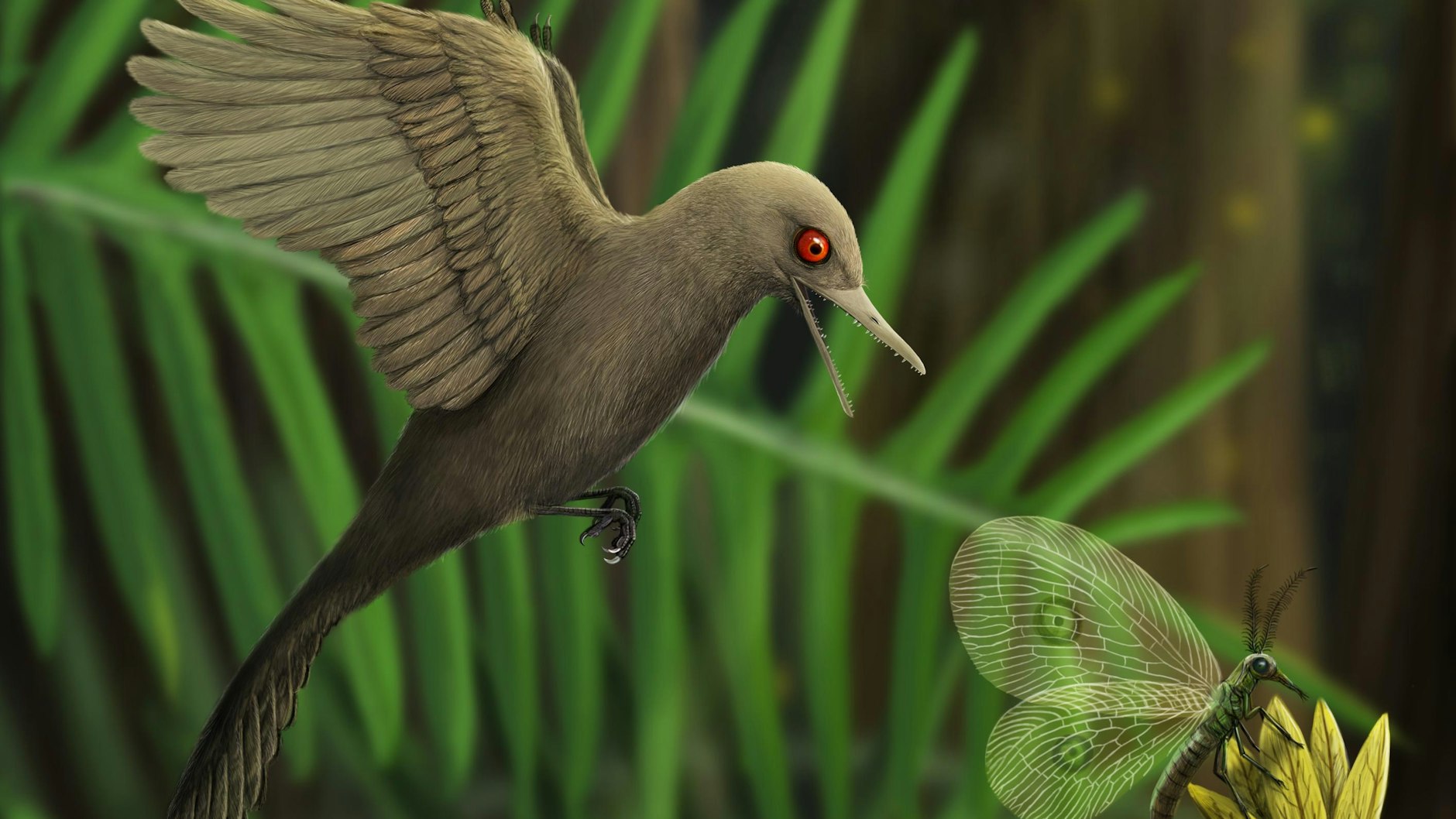 So könnte der winzige Urvogel&nbsp;<em>Oculudentavis khaungraae</em> ausgesehen haben.