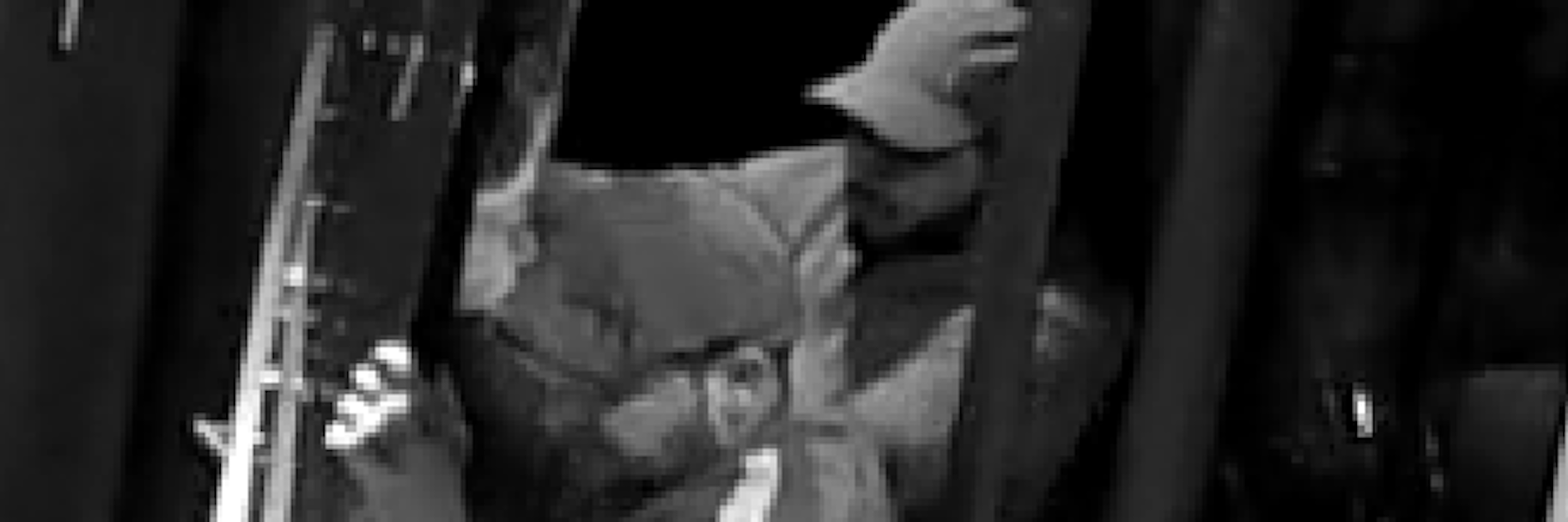 Beide Tatverdächtigen sind auf diesem Bild zu sehen.