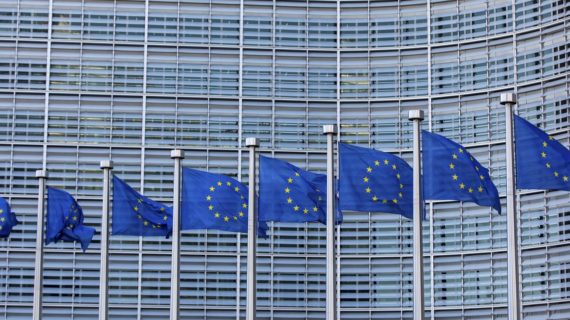 "Es ist offen, wie demokratisch, wie europäisch wir aus dieser Krise kommen", sagt Ulrike Guérot.