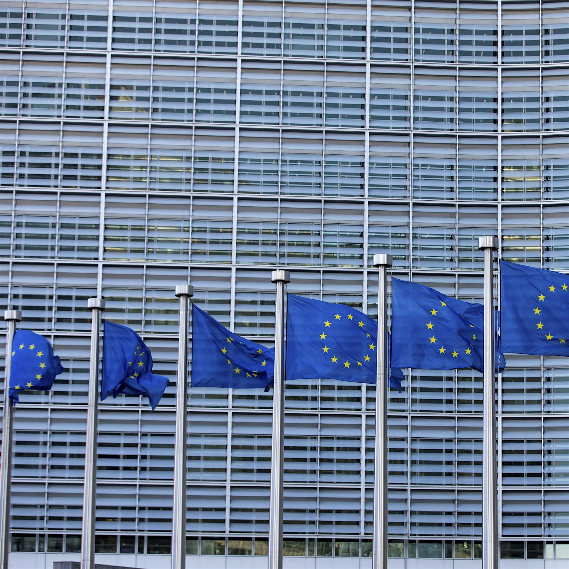 Image - Ulrike Guérot: Europa hat in der Krise noch nie funktioniert