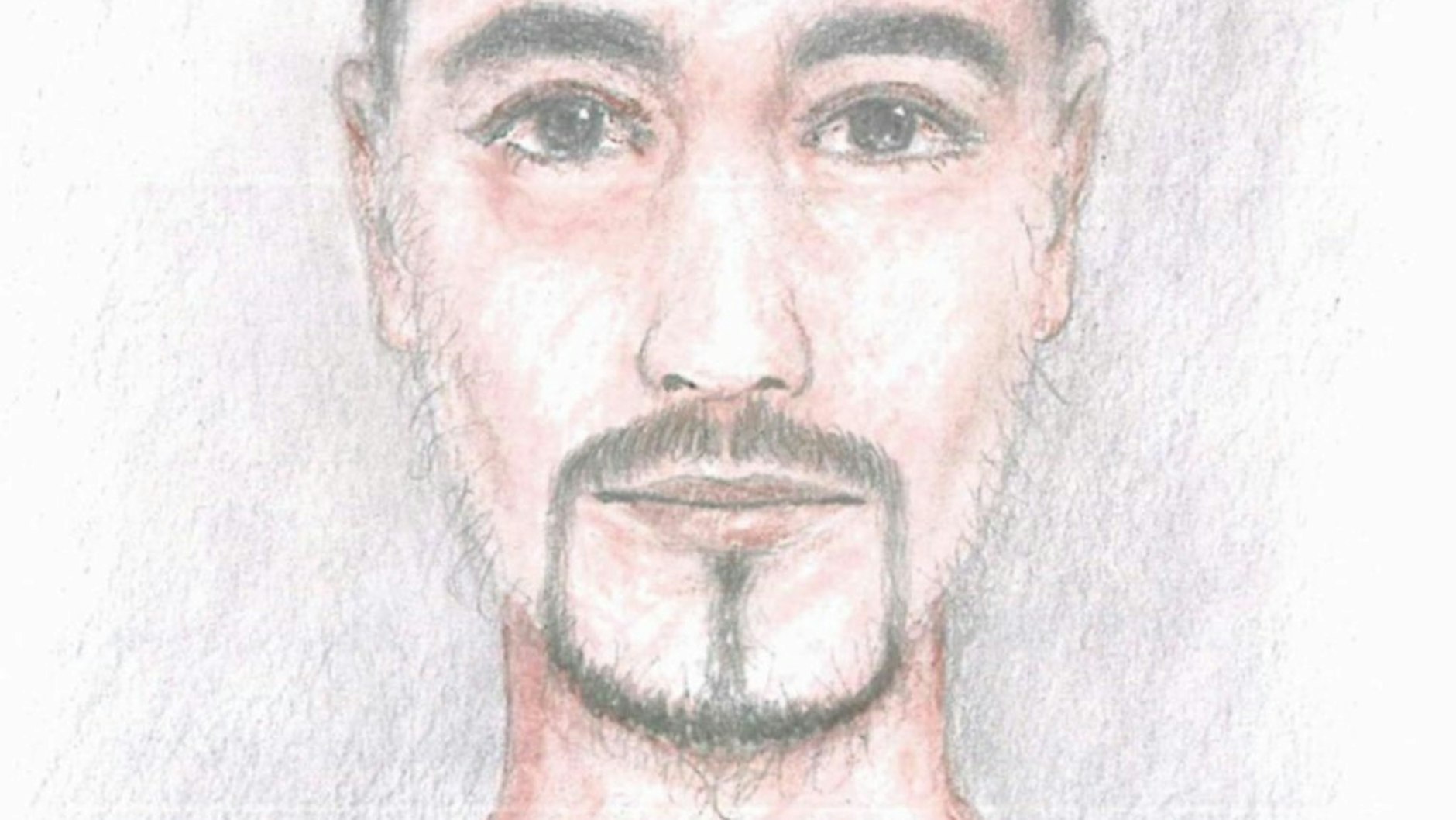 Polizei fahndet mit diesem Phantombild nach dem Verdfächtigen.