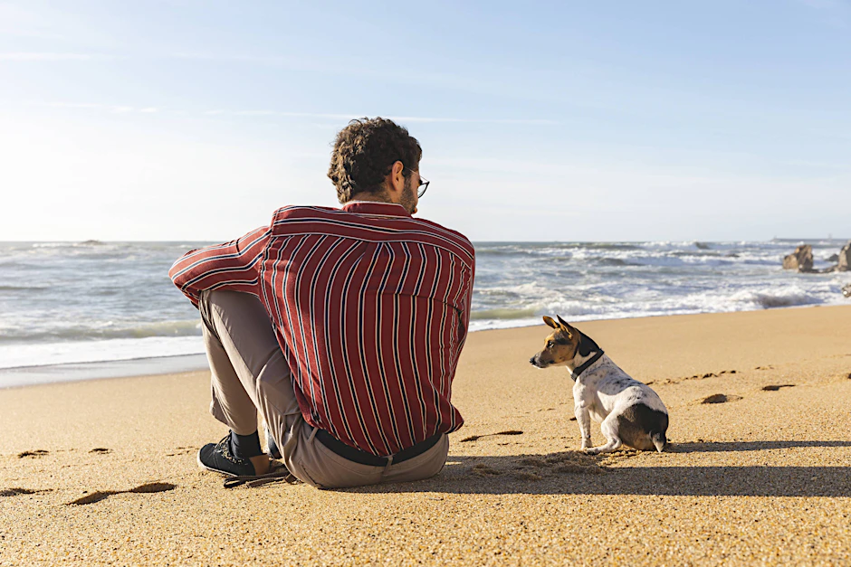 Welche Sprache spricht mein Hund?