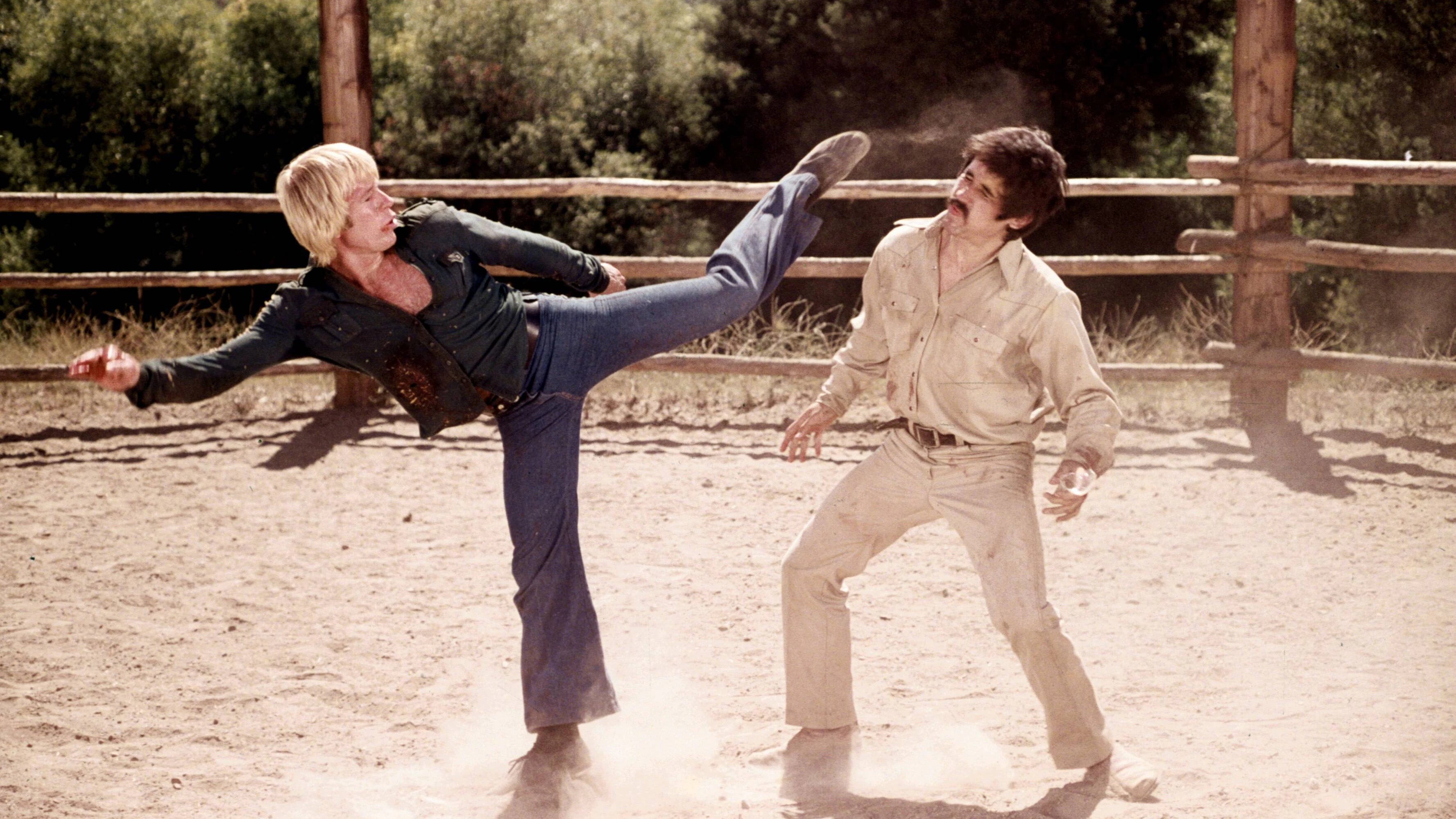 Chuck Norris führt auch in dem Film Breaker Breaker" (1977) gekonnt den Roundhouse-Kick vor&nbsp;
