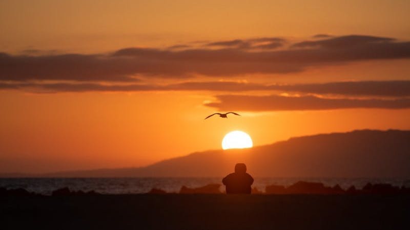 Romantischer Sonnenuntergang am Urlaubsstrand? Darauf müssen wir wohl noch einige Zeit verzichten. Die deutschen Reiseanbieter sehen noch keinen Start in die Sommerferien in naher Zukunft. 