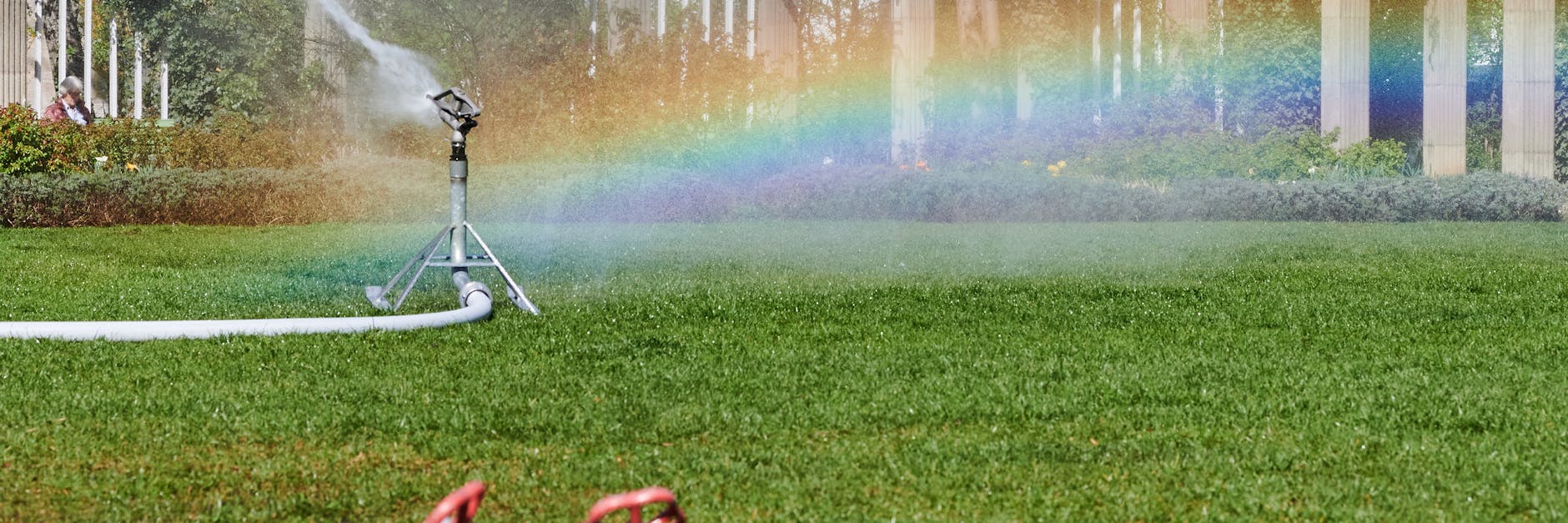 Die Grünanlagen Berlins haben recht wenig Rasensprenger. Auch in diesem Jahr wird eine große Trockenheit erwartet.