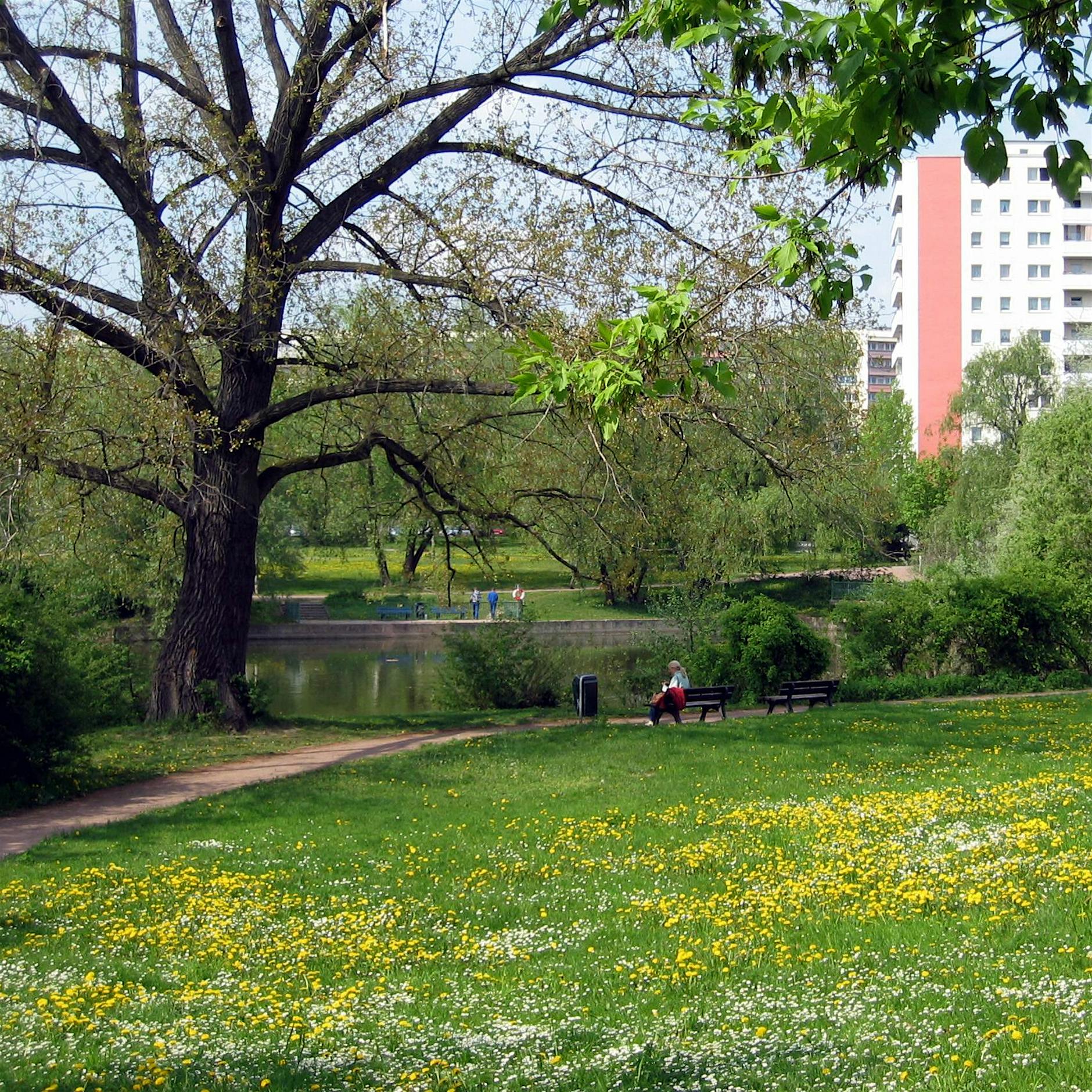 Lichtenberg bittet Bürger um Wasser für Bäume