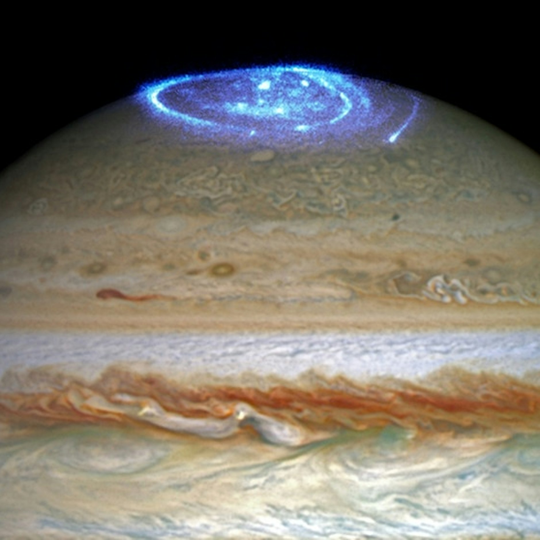 Polarlichter auf dem  Jupiter. Ihre Ausdehnung ist größer als der Durchmesser der Erde.