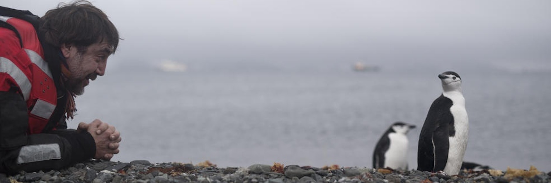 „Ich möchte meinen Kindern und Enkeln mal sagen können, was wir gegen die Zerstörung der Umwelt unternommen haben." Der Hollywoodstar in der Arktis, in der er unter anderem Pinguine beobachten konnte.