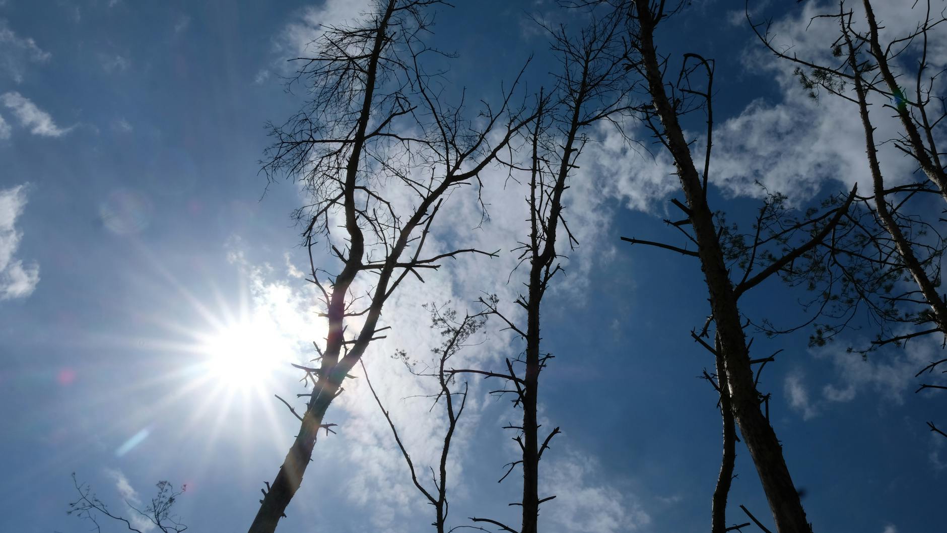 Die Natur braucht im Moment vor allem eines: Wasser.