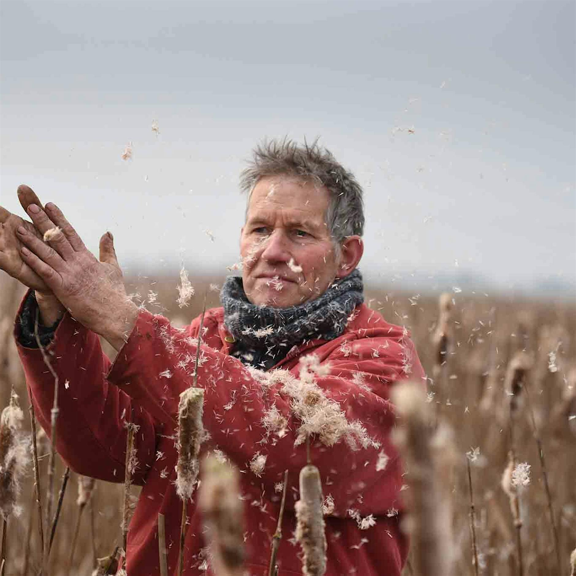 Wie die Moorbauern das Klima schützen wollen