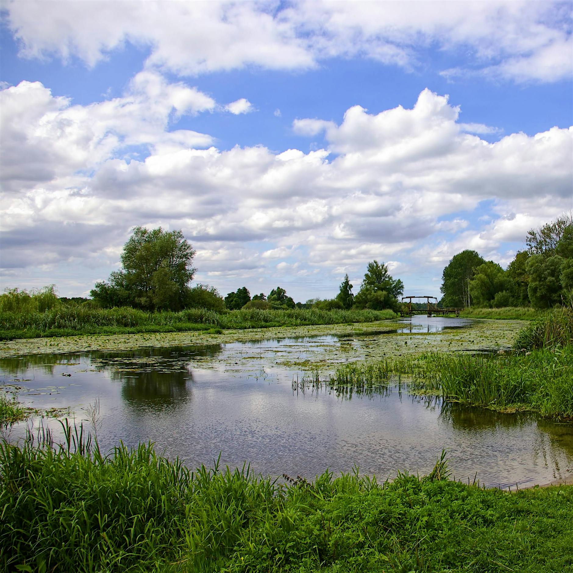 Bundesregierung: In diesem Jahr wohl nur „Heimaturlaub“