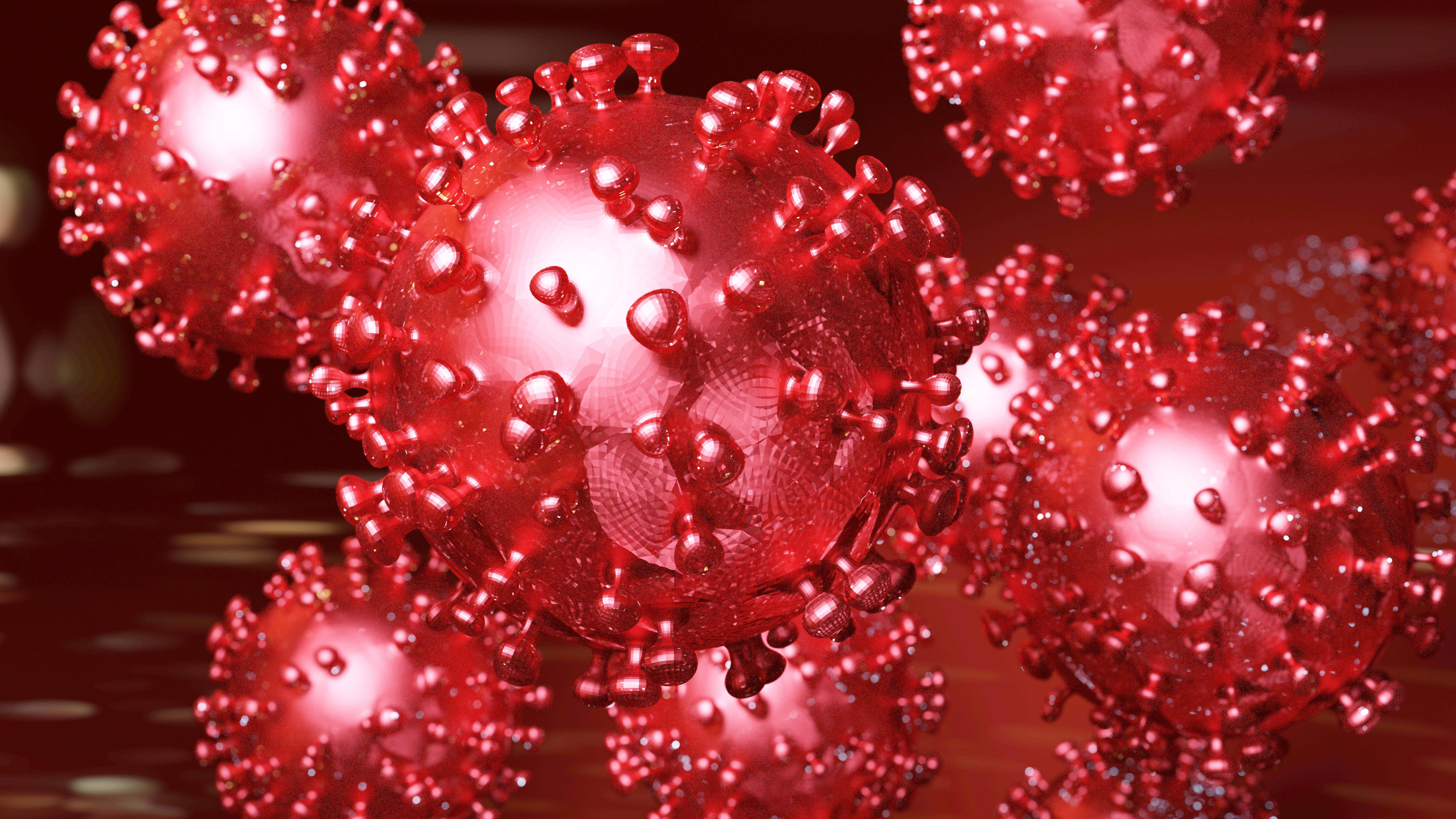 Das Coronavirus.