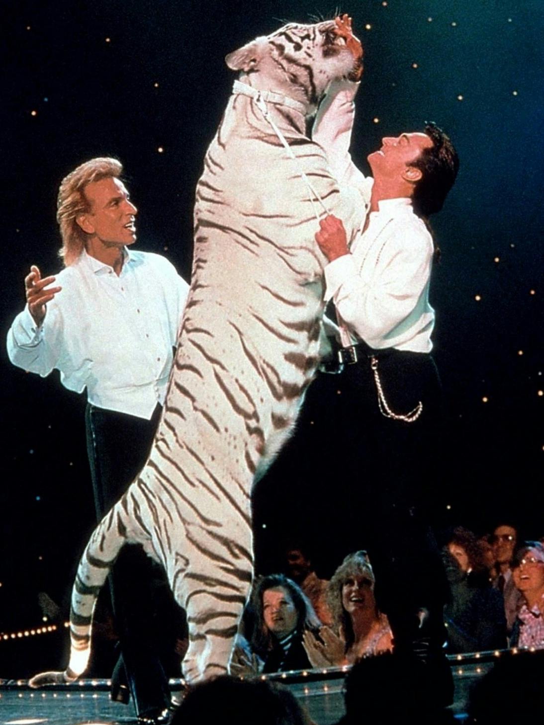 So kannte man Siegfried und Roy in Las Vegas: Magie mit weißen Tigern.