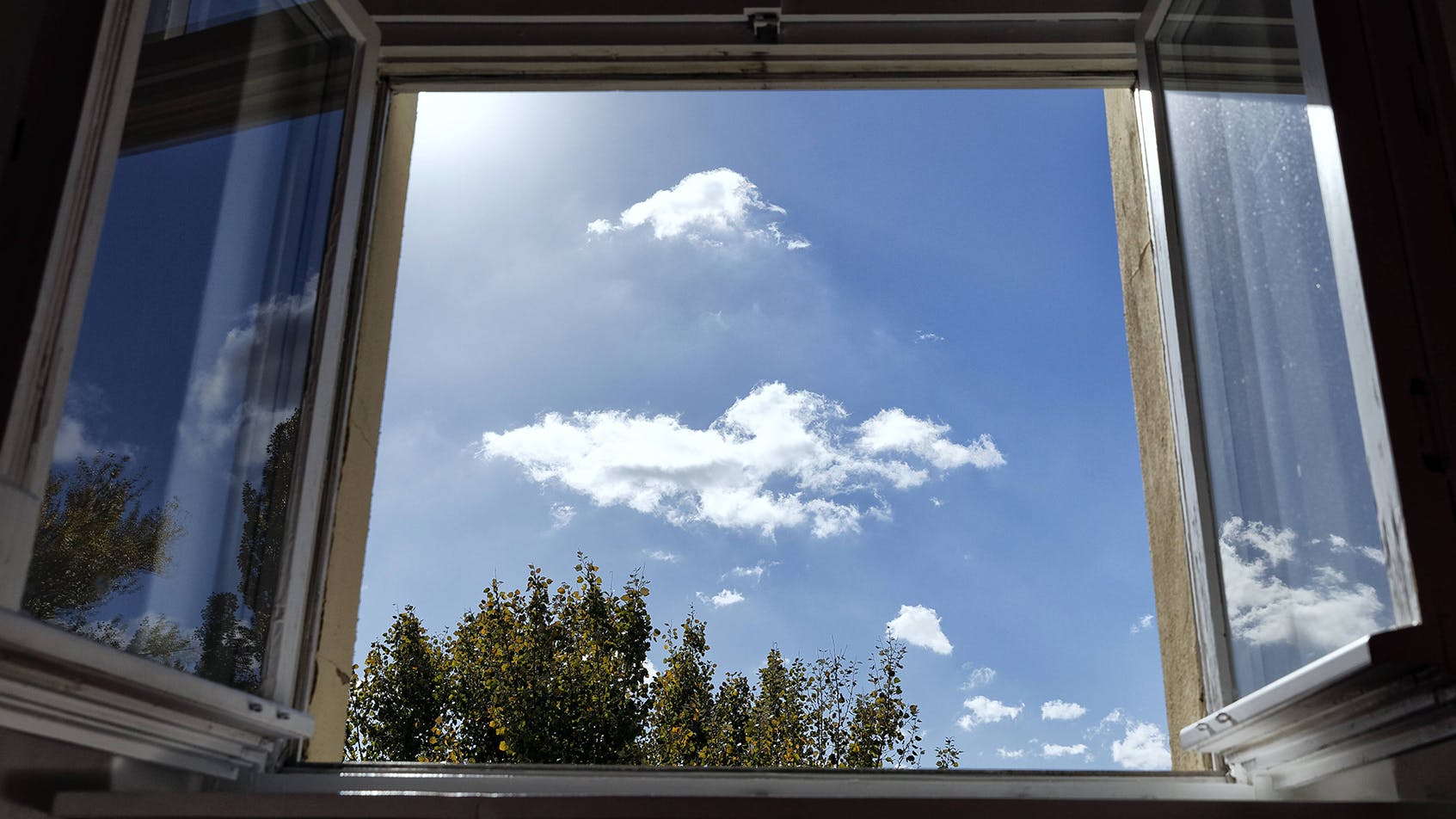 So offen geben sich Berliner Fenster eher selten.