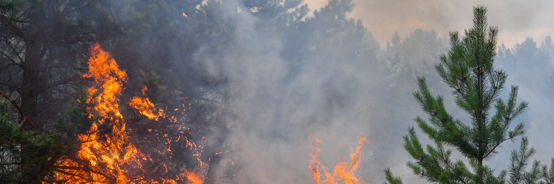 Wald- und Heideflächen brennen auf einem ehemaligen Truppenübungsplatz in Südbrandenburg. 