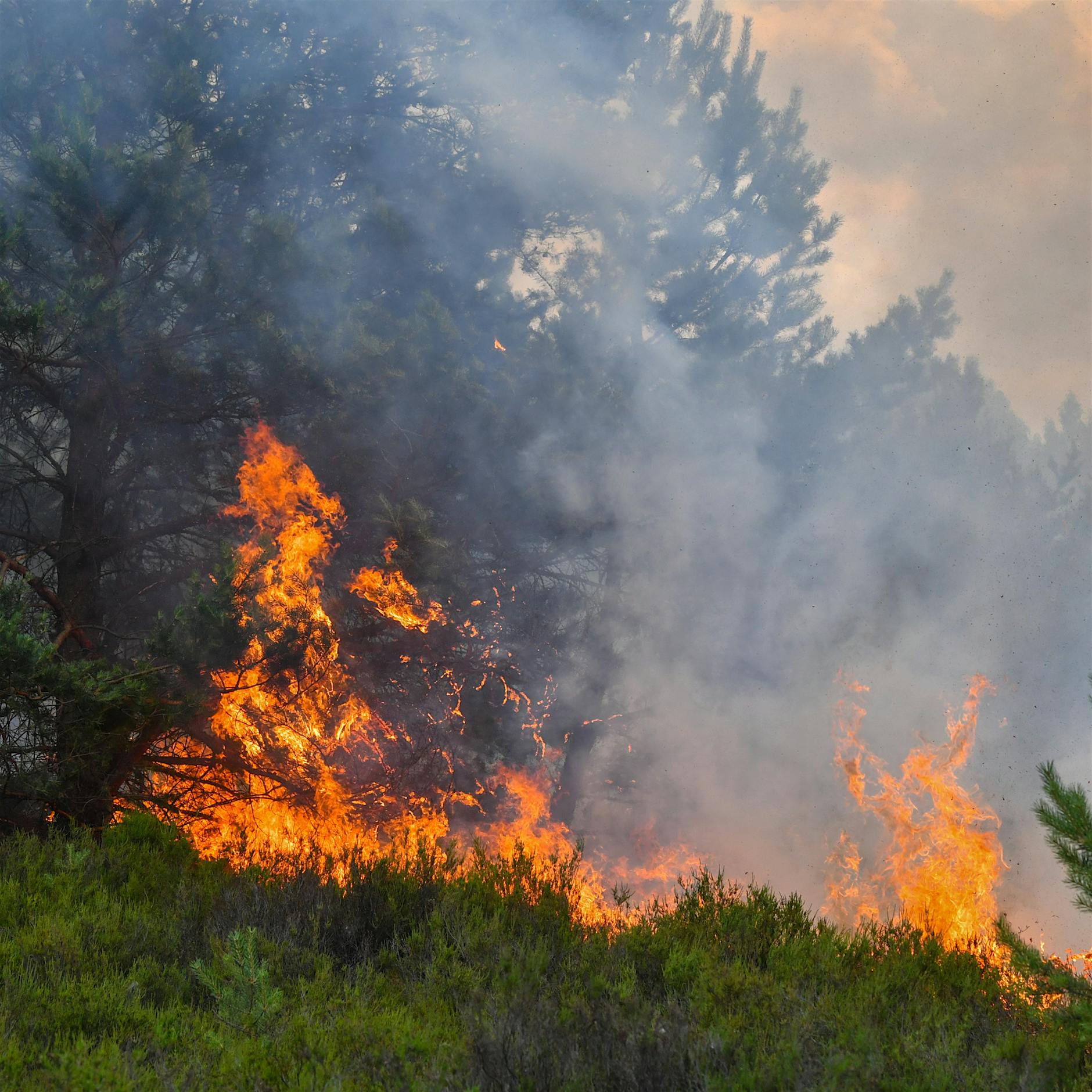 Bereits mehr als 100 Brände in diesem Jahr