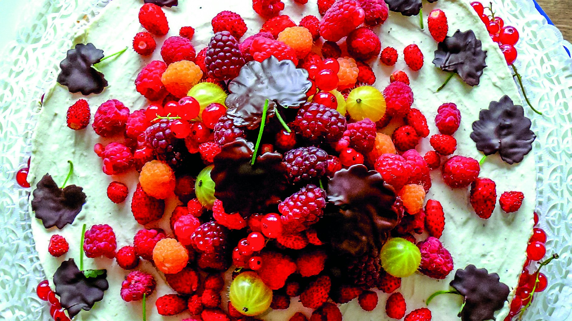 Sommer jetzt! Frischkäse-Torte mit schoko-überzogenen Gundermannblättern.