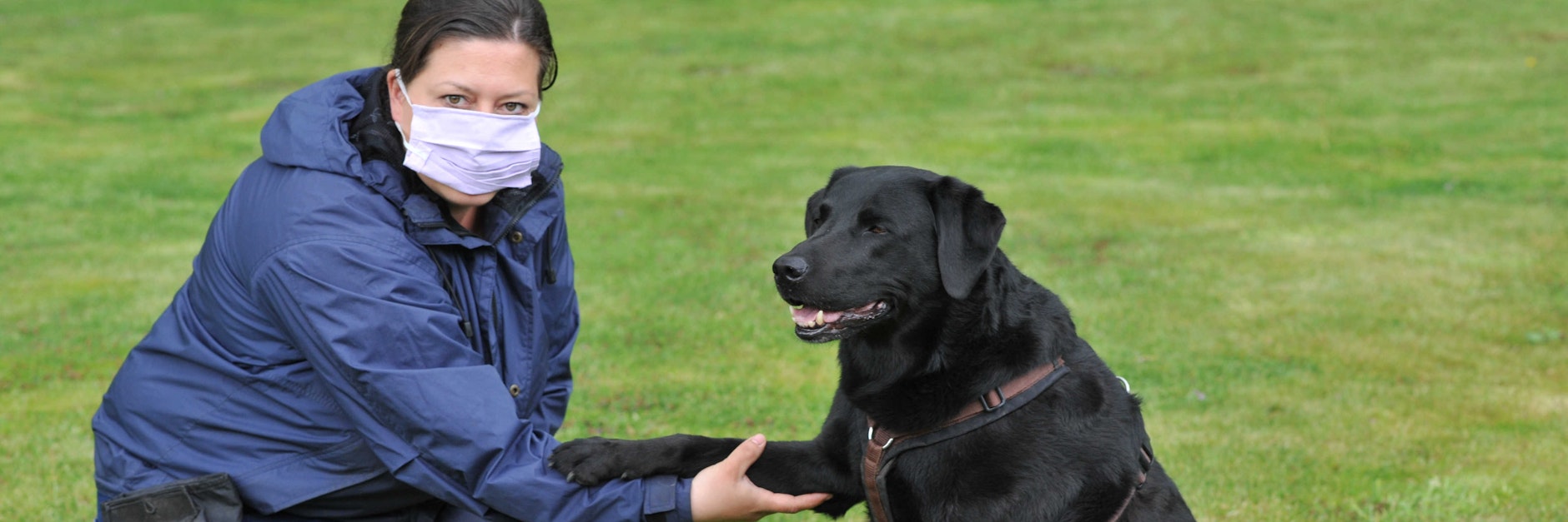 Ariane Grigoleit-Pöpke gewöhnt ihren 8-jährigen Labrador Finny an die Mundschutzmaske.<br>