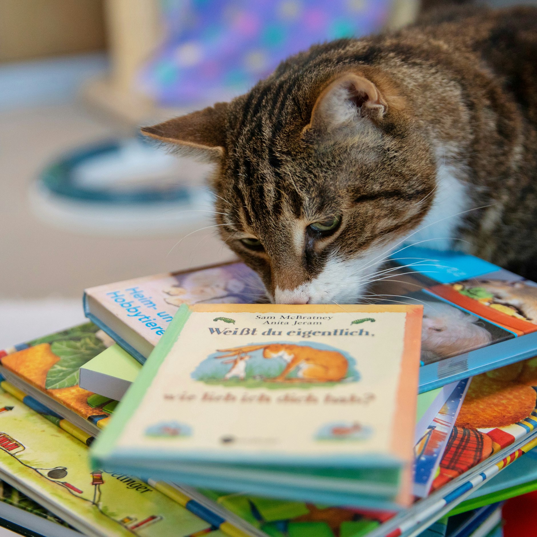Im Seniorenhaus des Tierheims sind Kinder mit ihren Büchern gern gesehen.&nbsp;&nbsp;