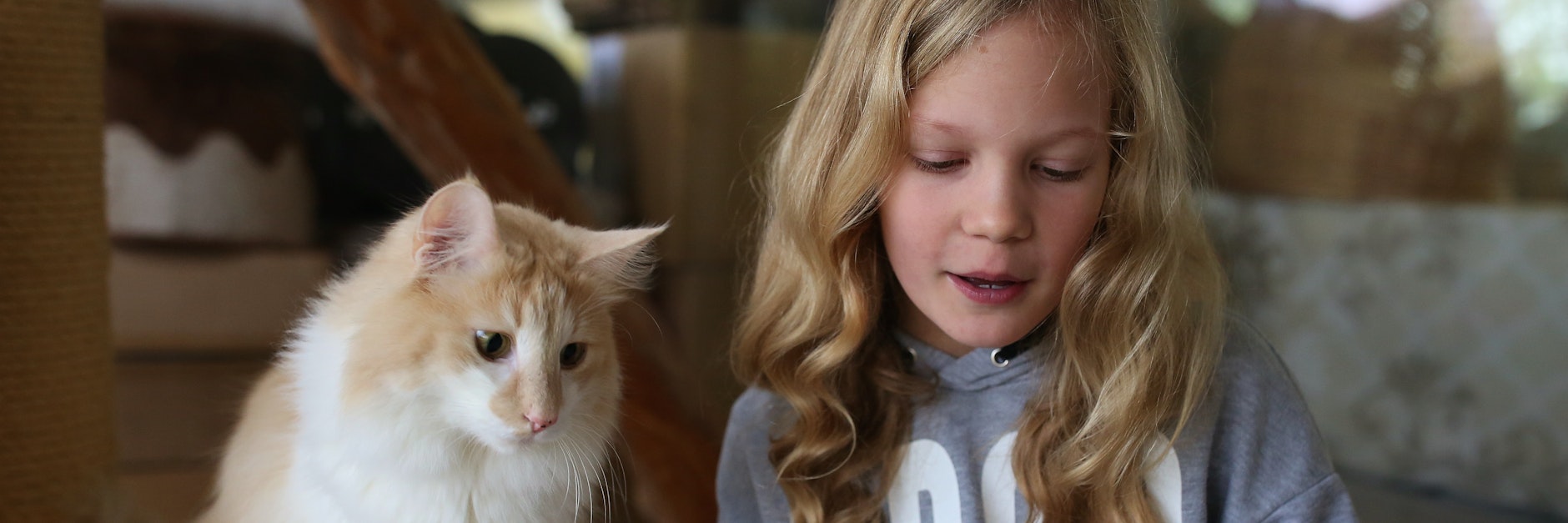 Die eine übt lesen, die andere freut sich über menschliche Zuwendung. Das Projekt "Kinder lesen für Katzen" im Berliner Tierheim kommt gut an.&nbsp;