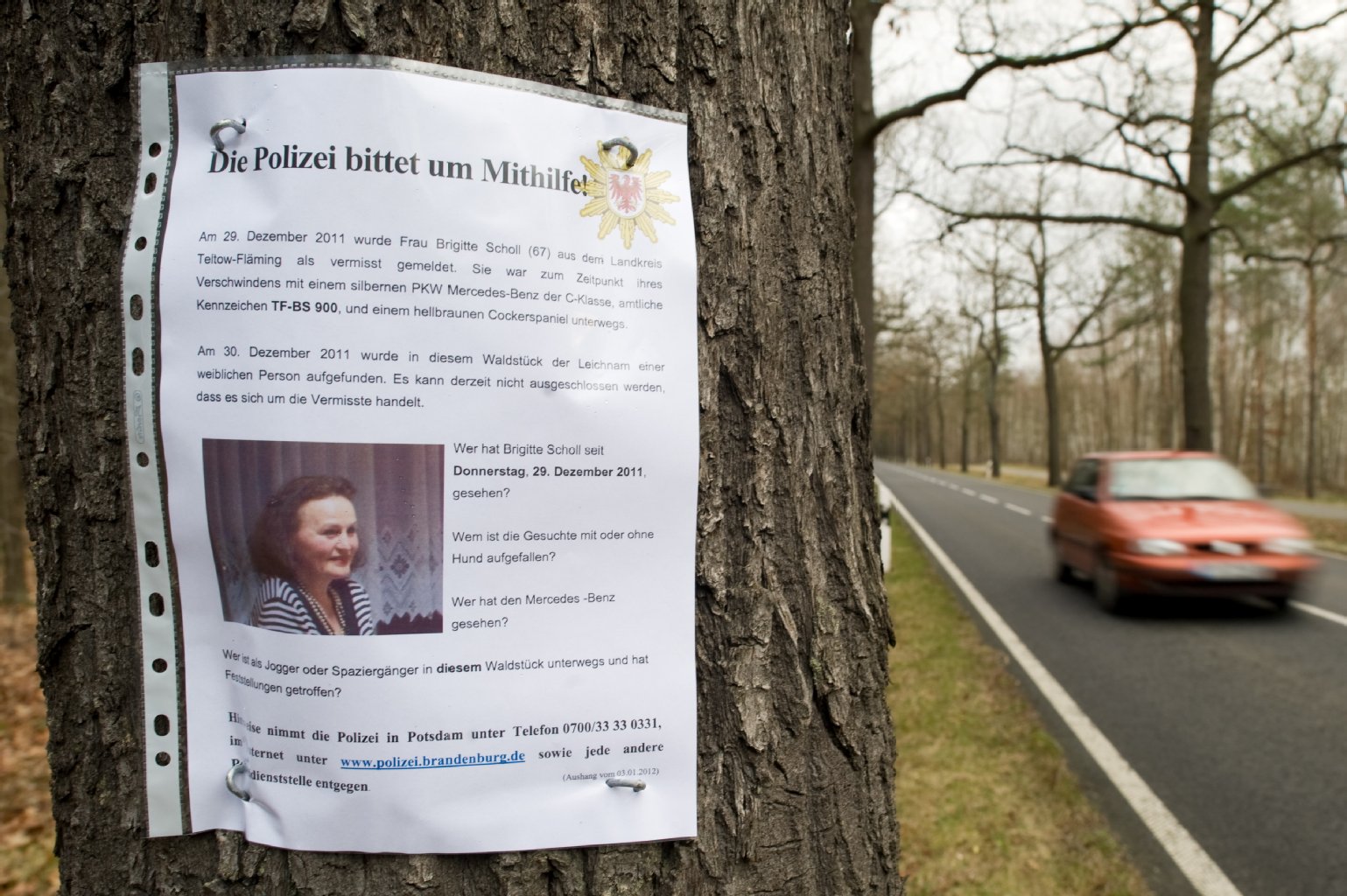 Der Steckbrief mit dem die Polizei Brigitte Scholl suchte.