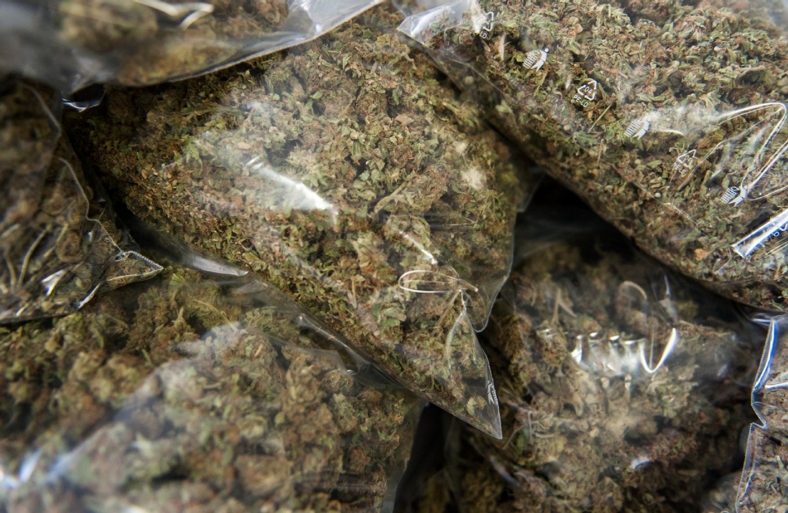 Die Polizei hat eine Drogendealer-Bande mit 9,5 Kilogramm Marihuana festgesetzt. (Symbolbild)