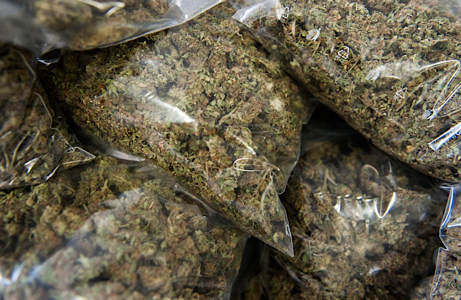 Die Polizei hat eine Drogendealer-Bande mit 9,5 Kilogramm Marihuana festgesetzt. (Symbolbild)